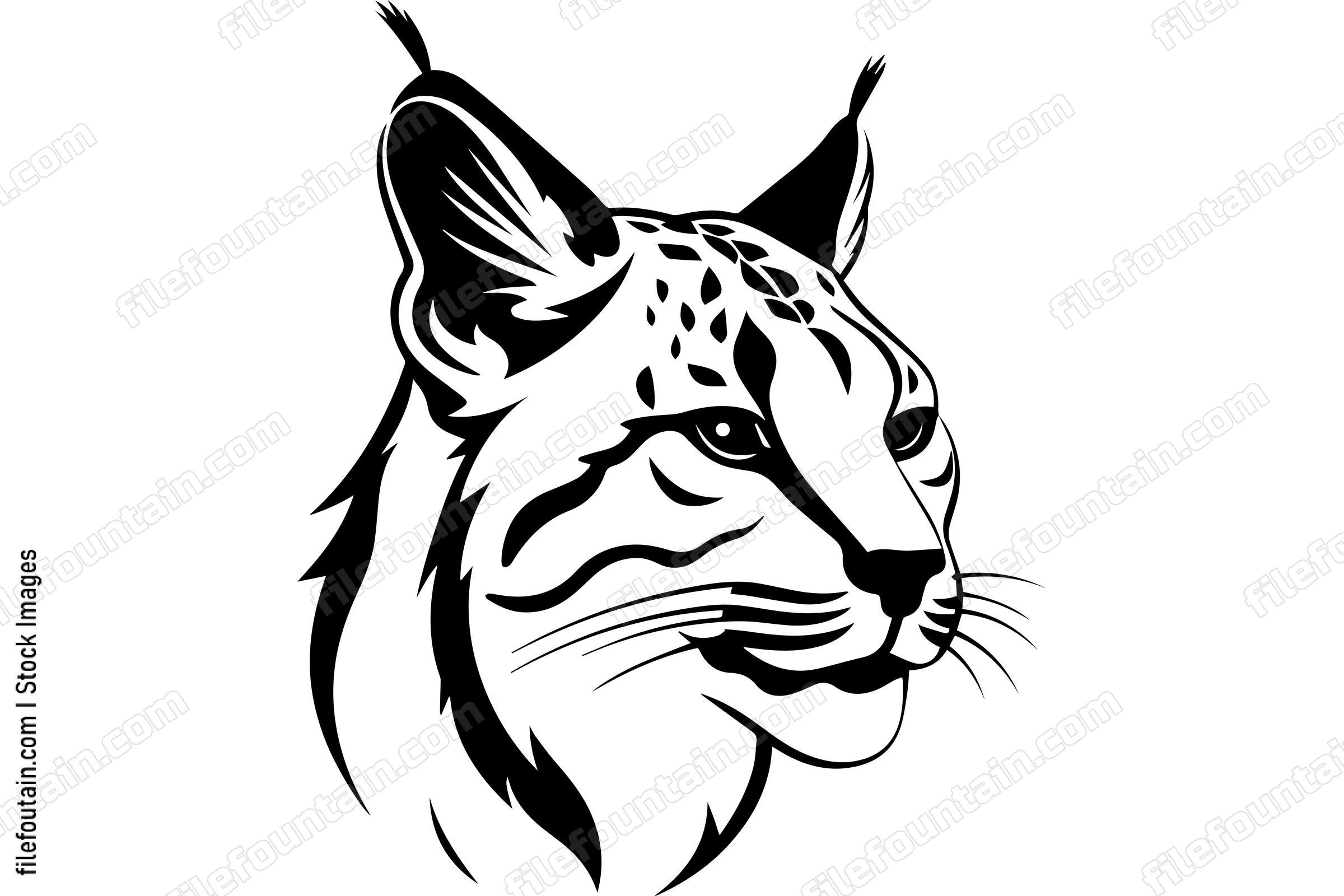 Bobcat