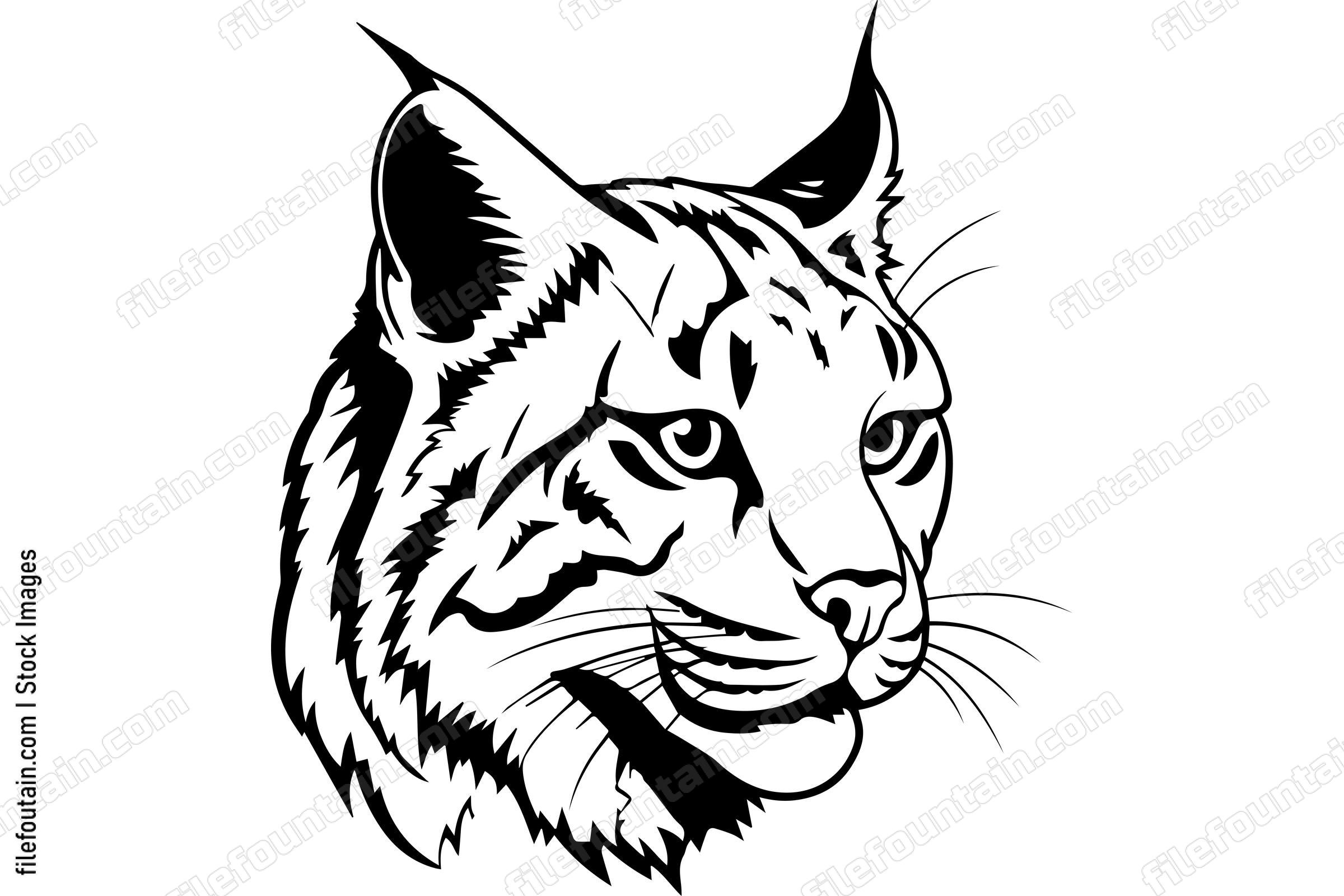 Bobcat
