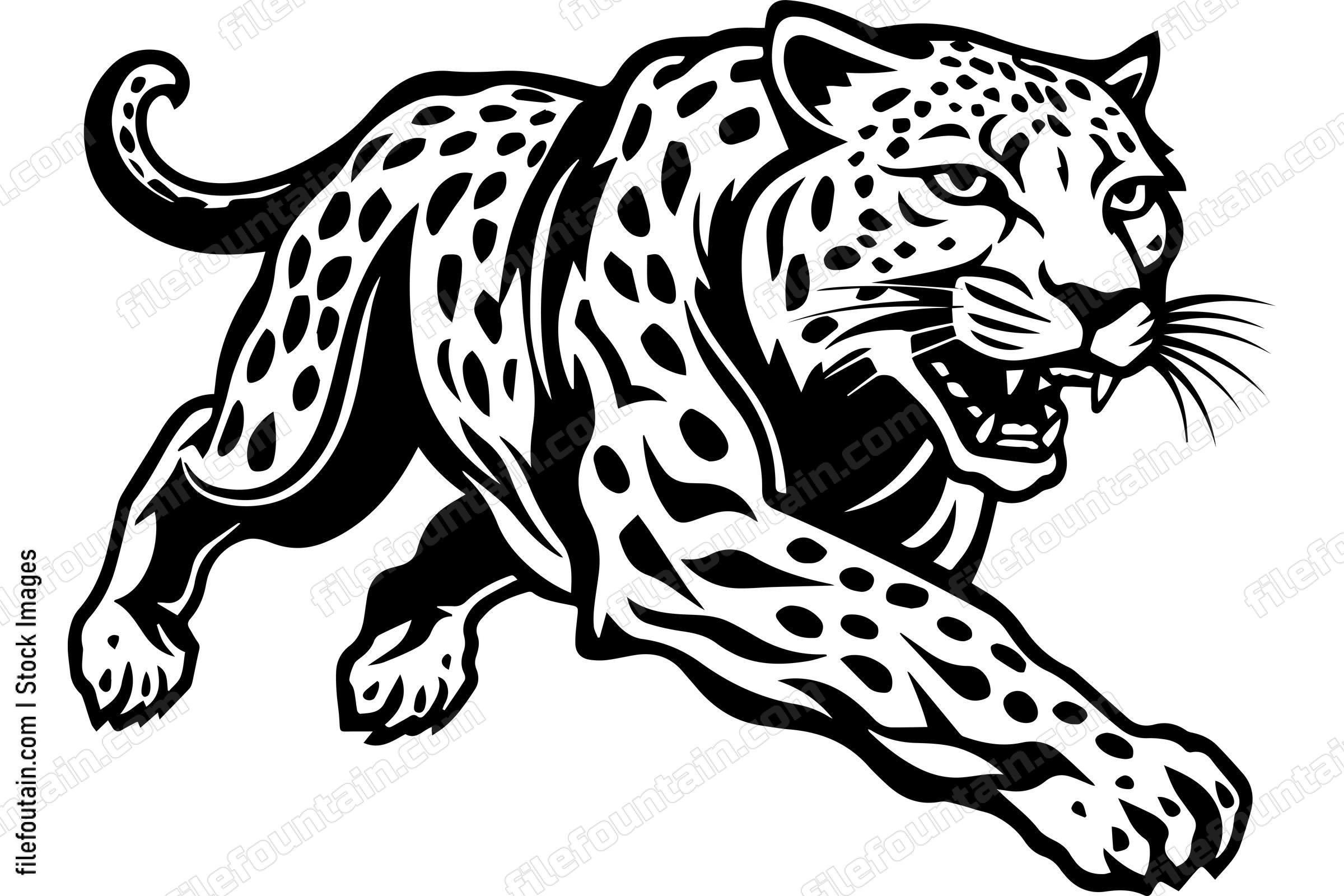 Cheetah