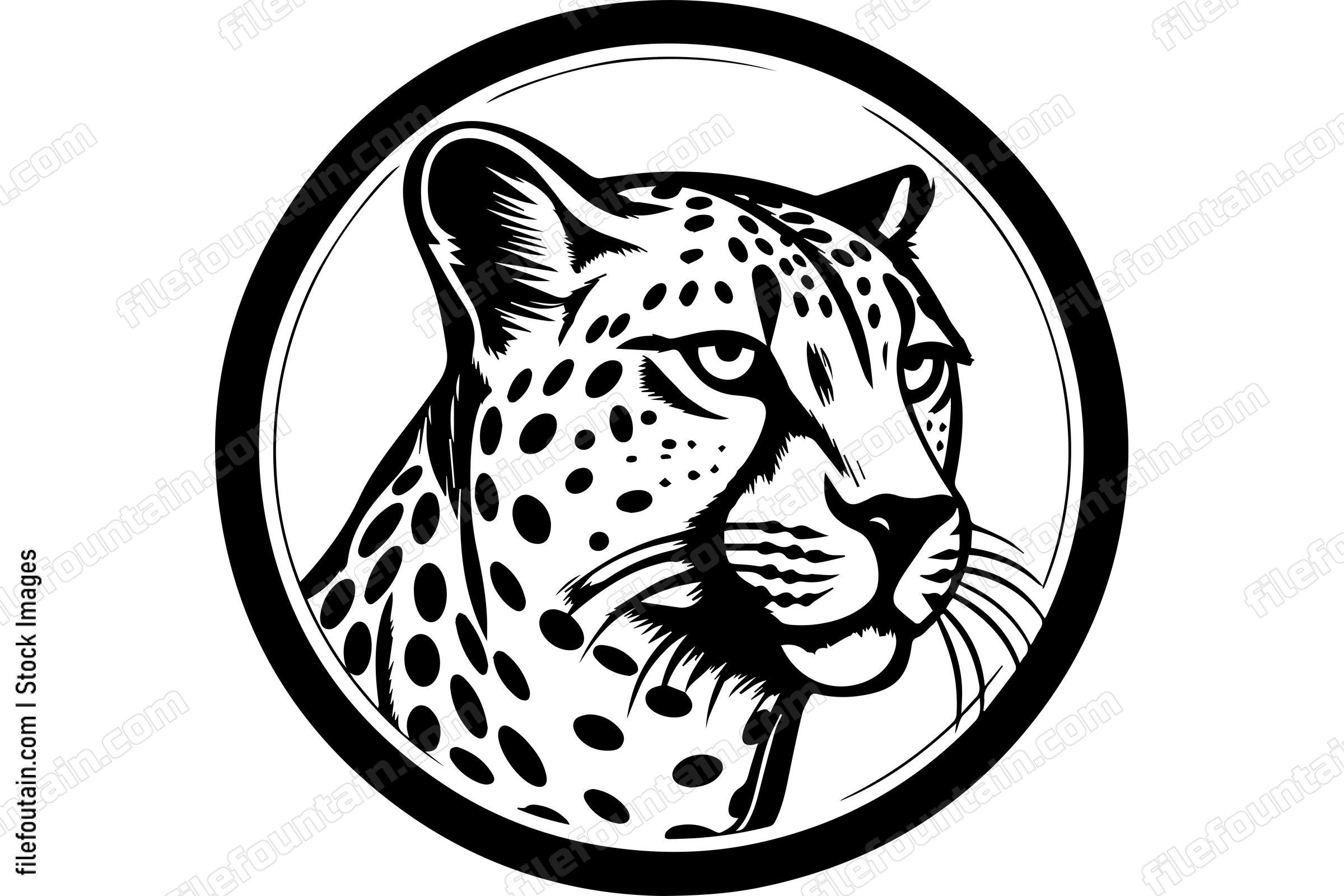 Cheetah