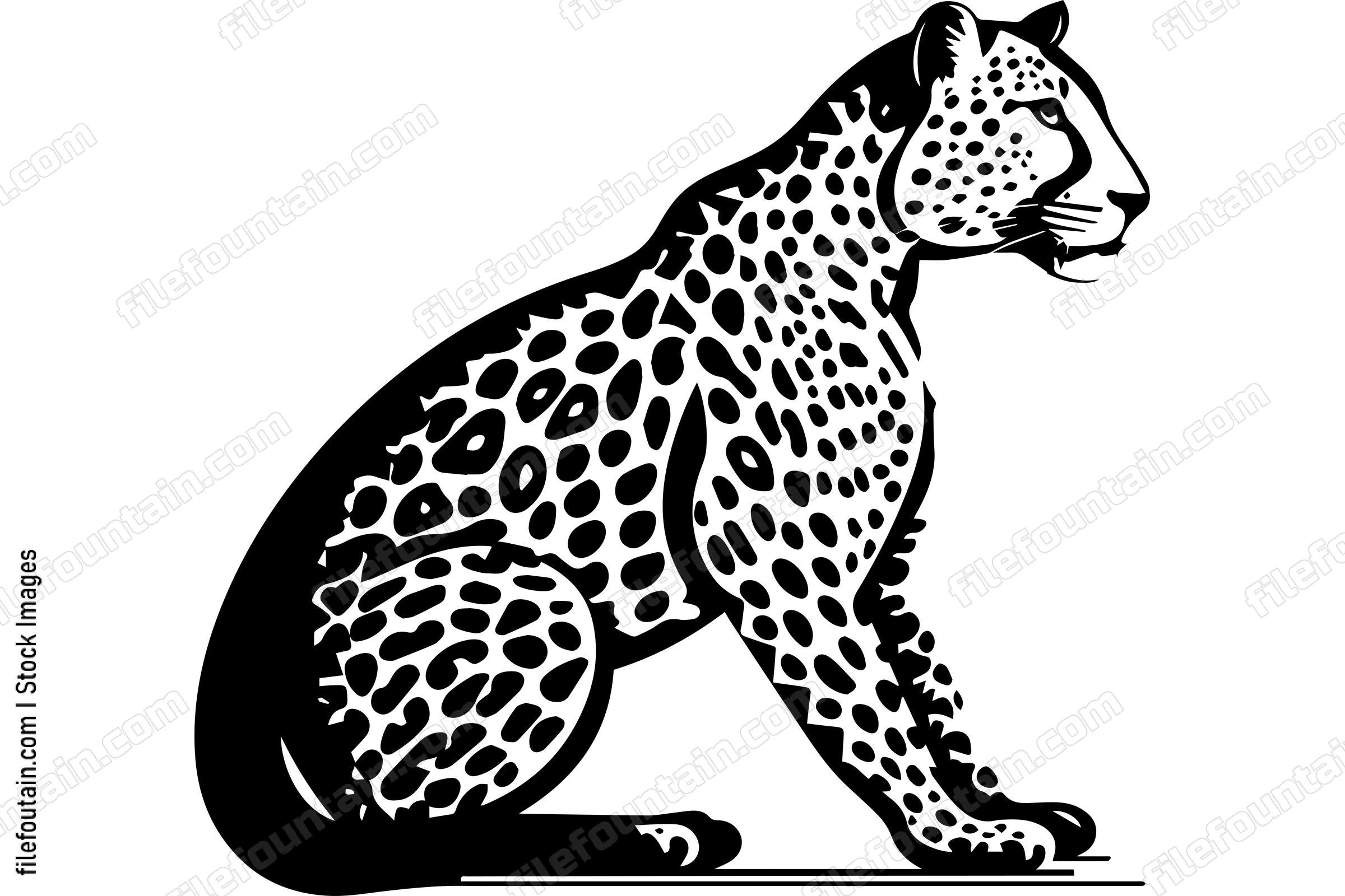 Cheetah