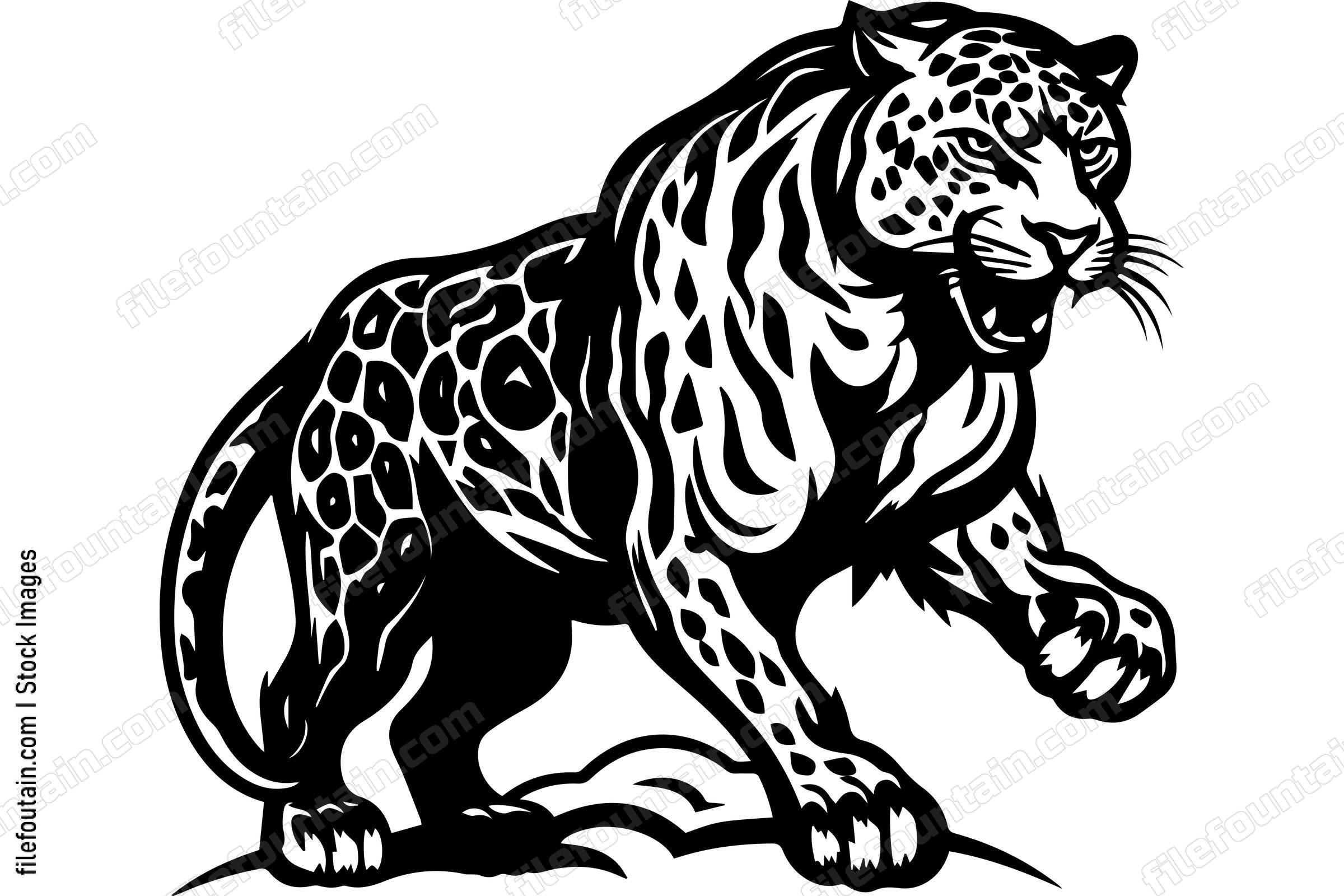 Cheetah