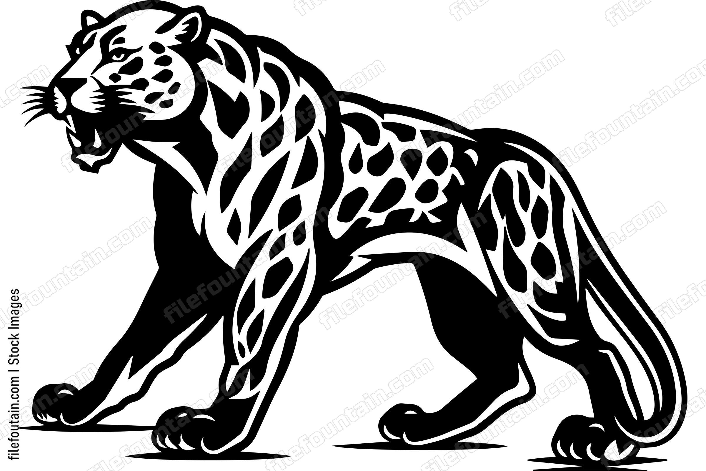 Cheetah