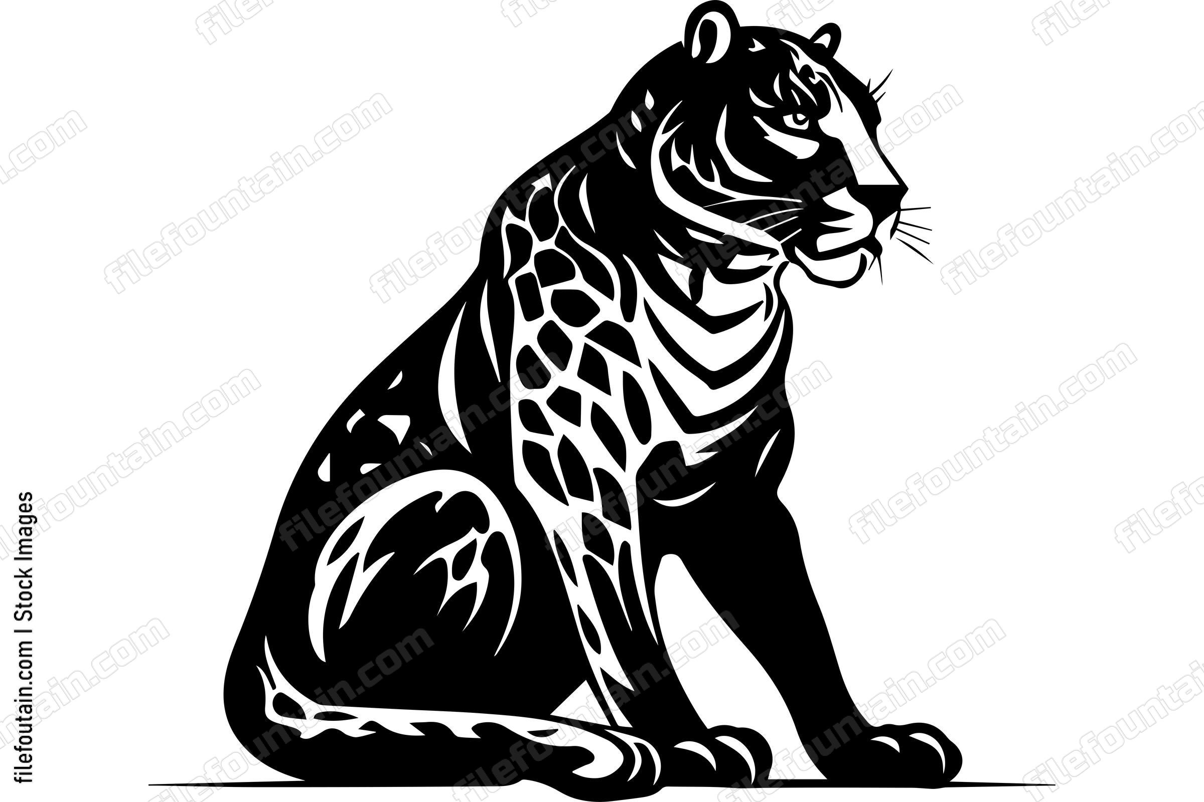 Cheetah