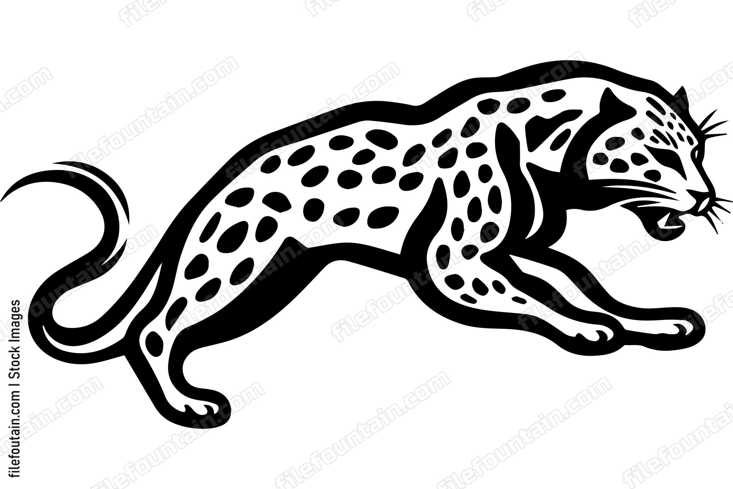 Cheetah