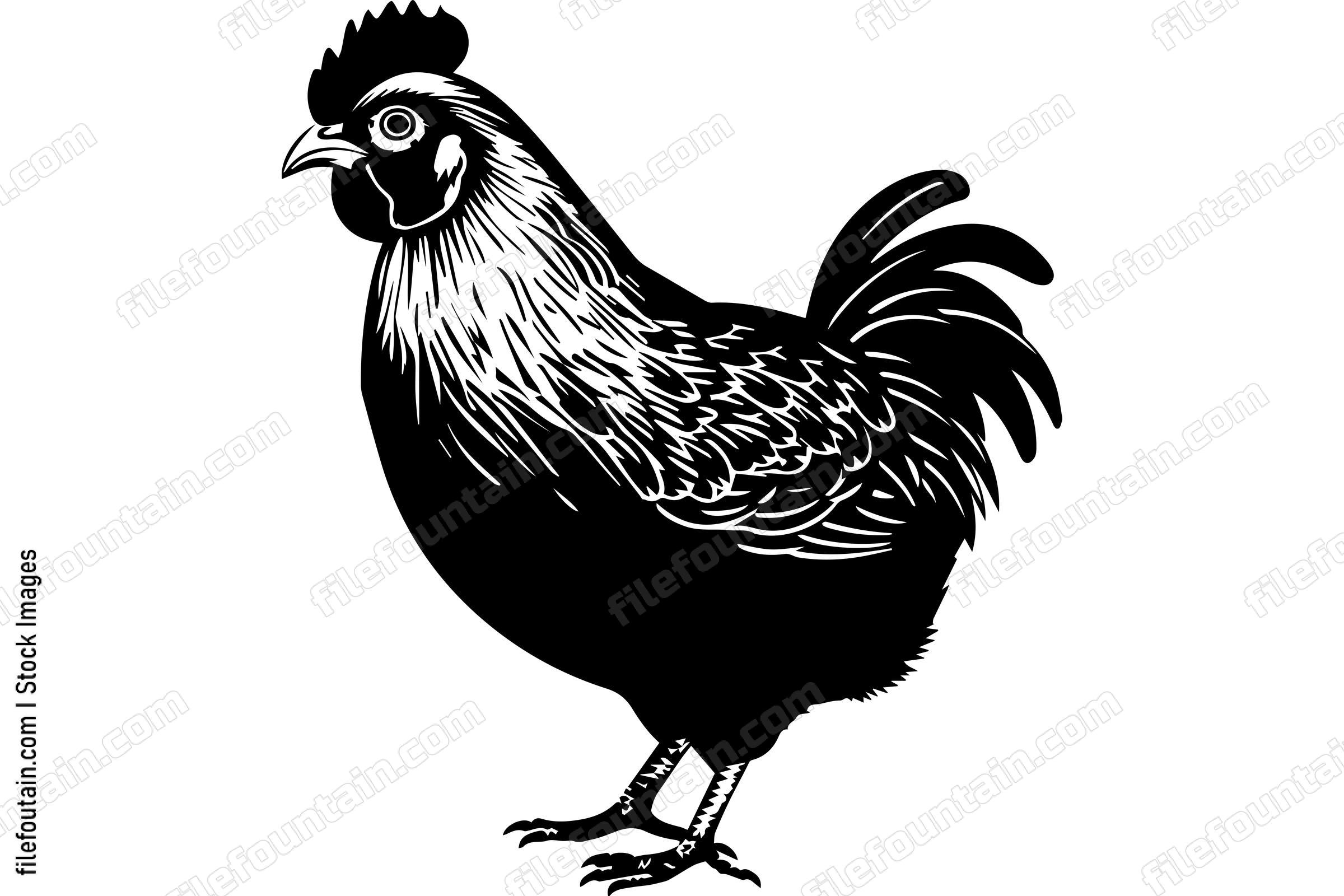 Chicken