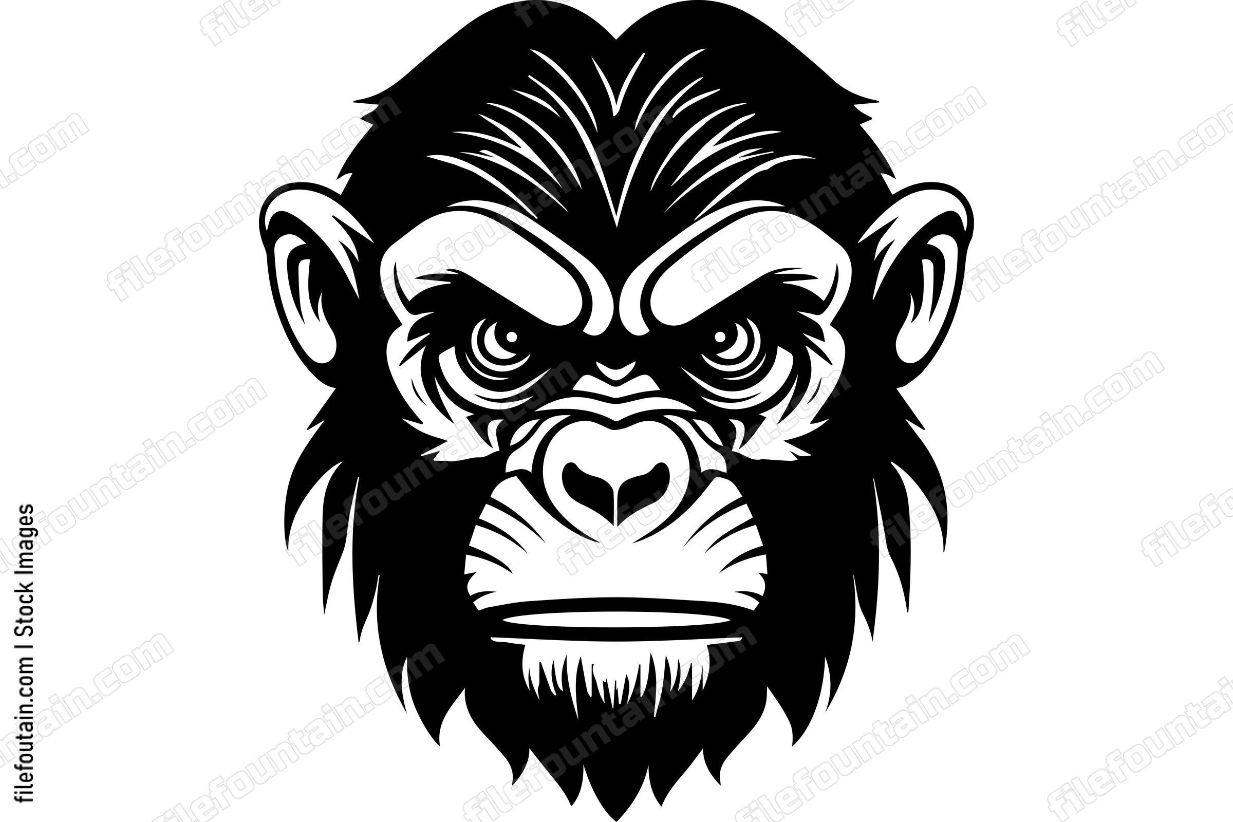 Chimpanzee