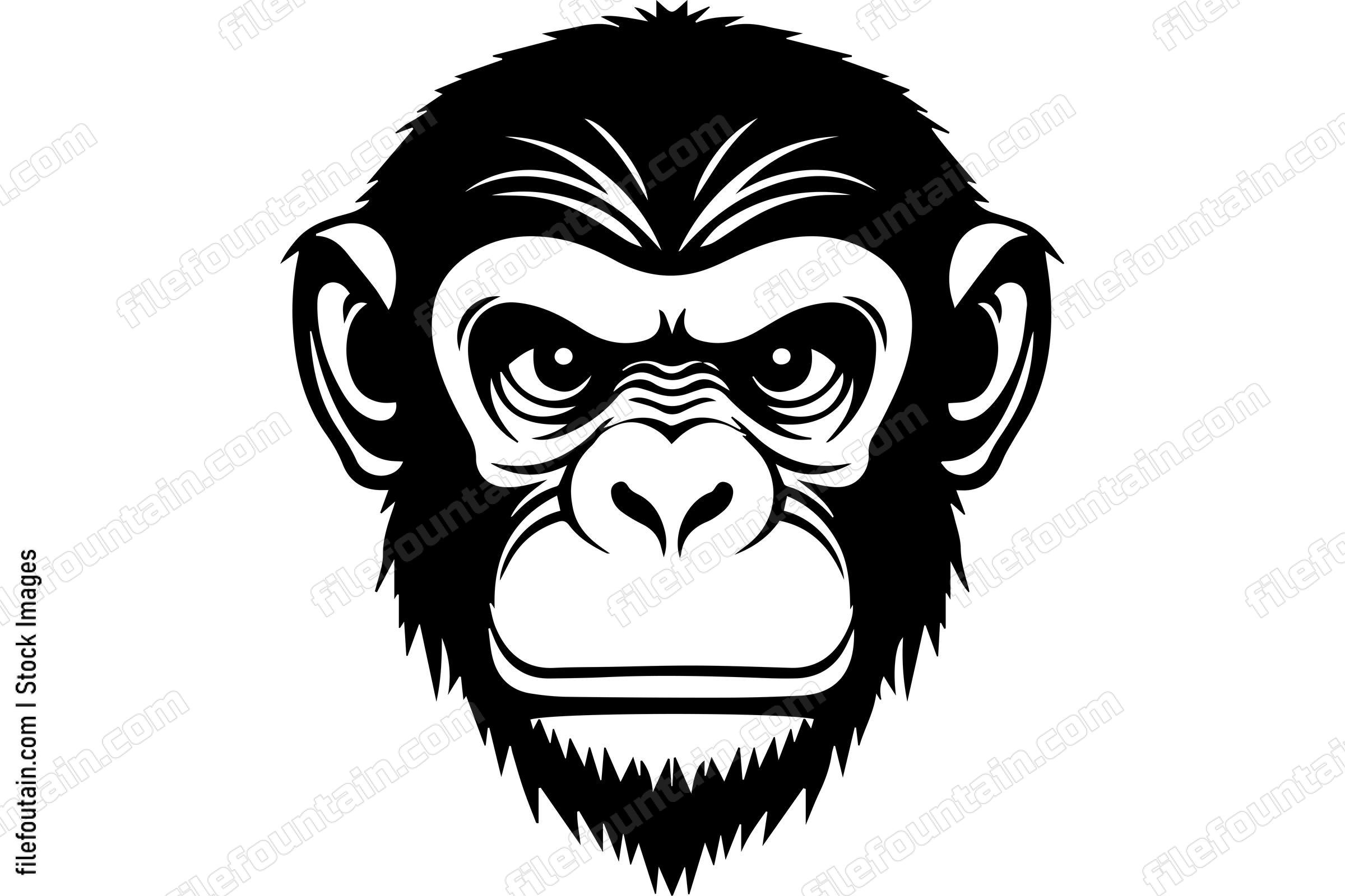 Chimpanzee