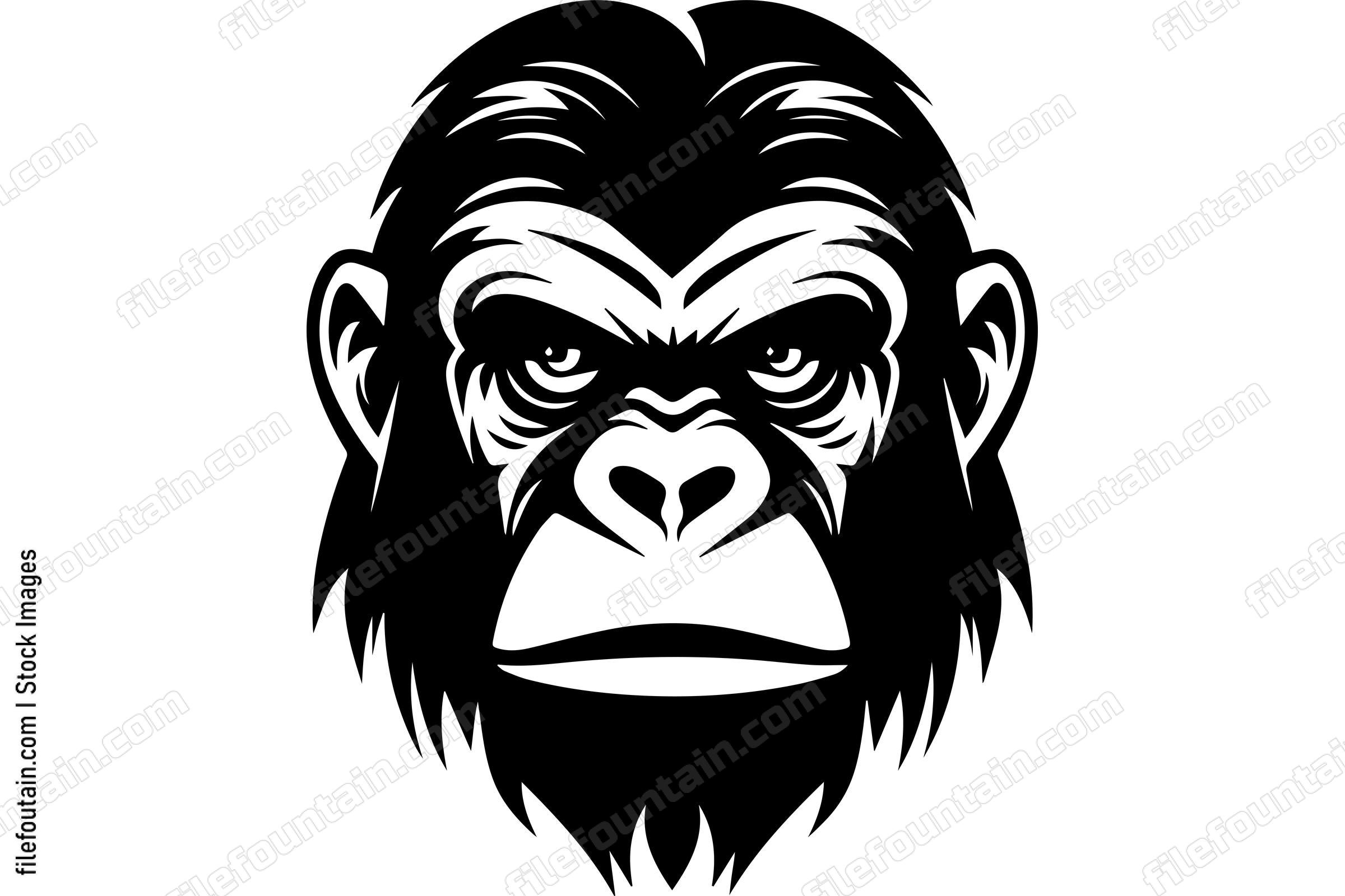 Chimpanzee