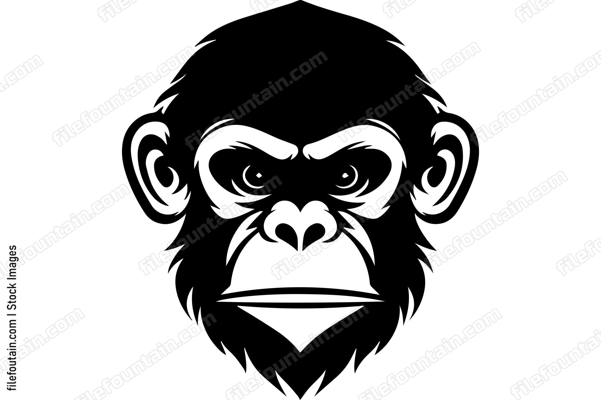 Chimpanzee