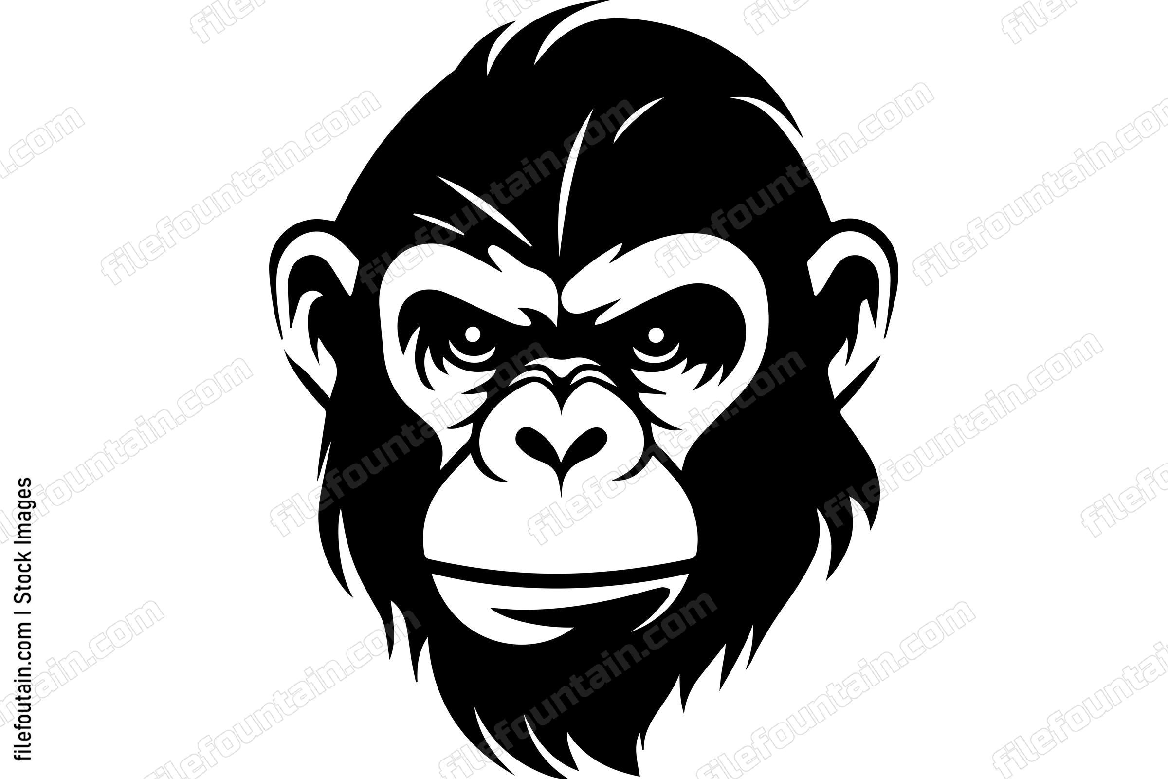 Chimpanzee