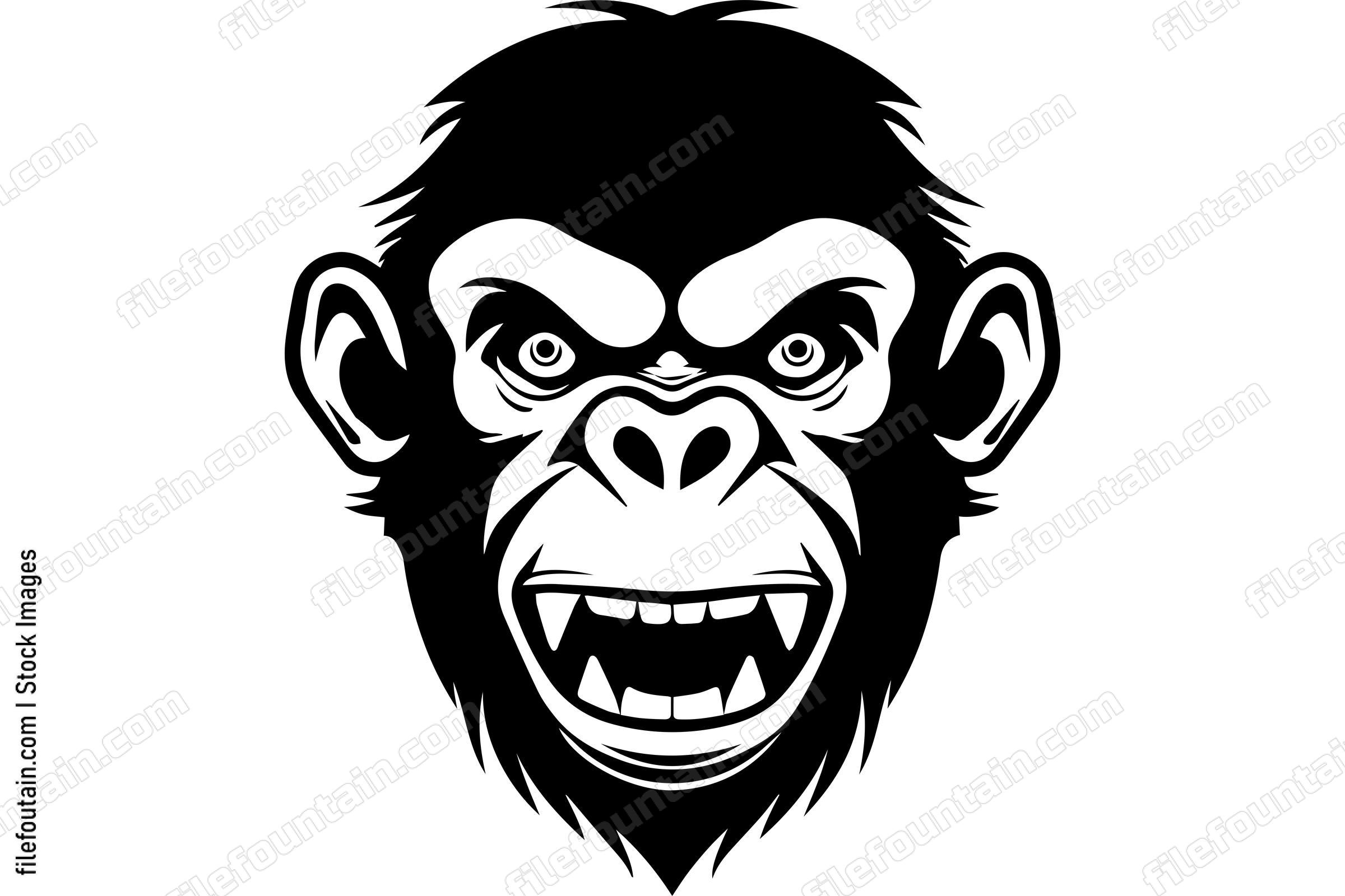Chimpanzee