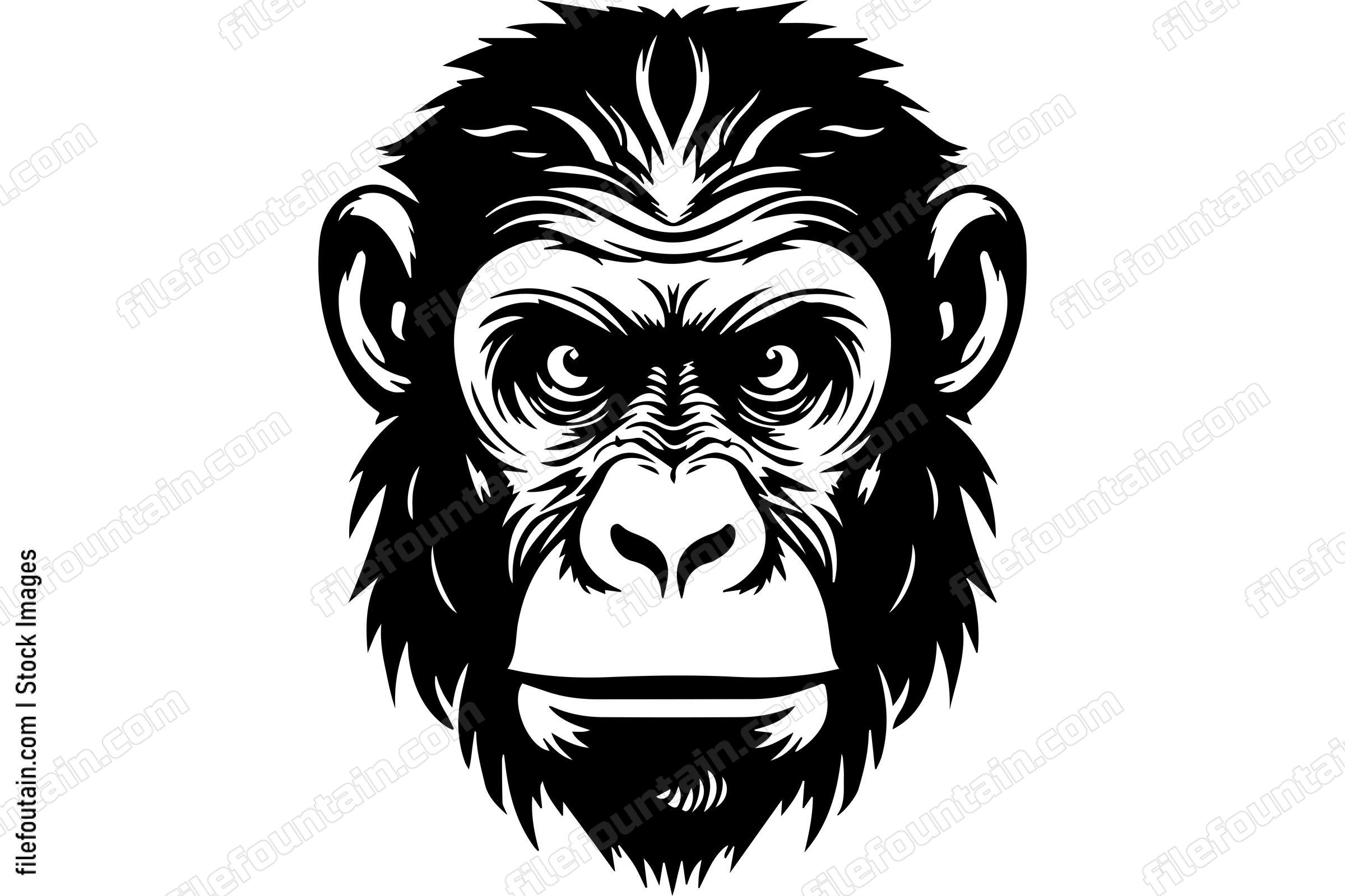 Chimpanzee