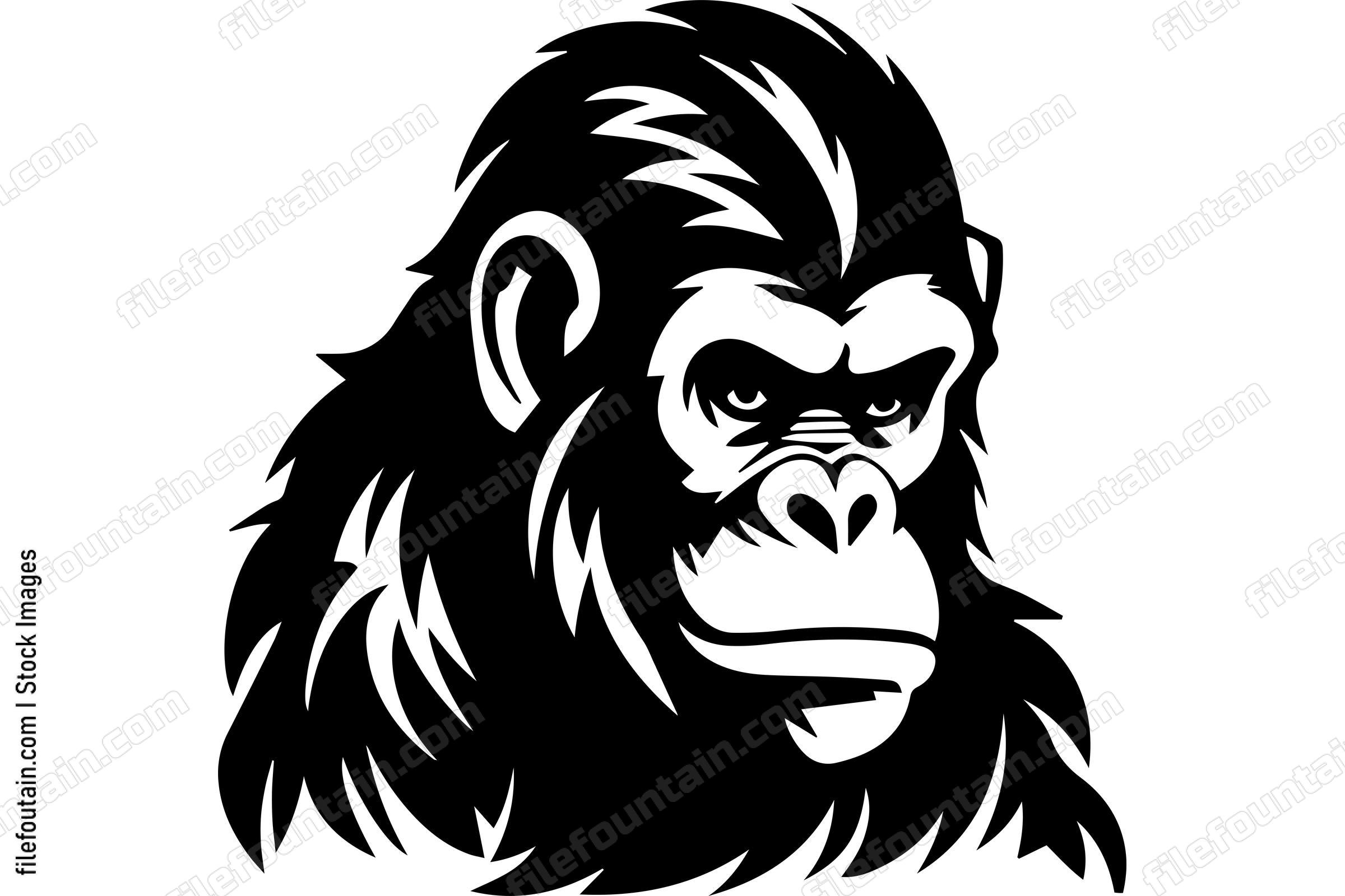Chimpanzee