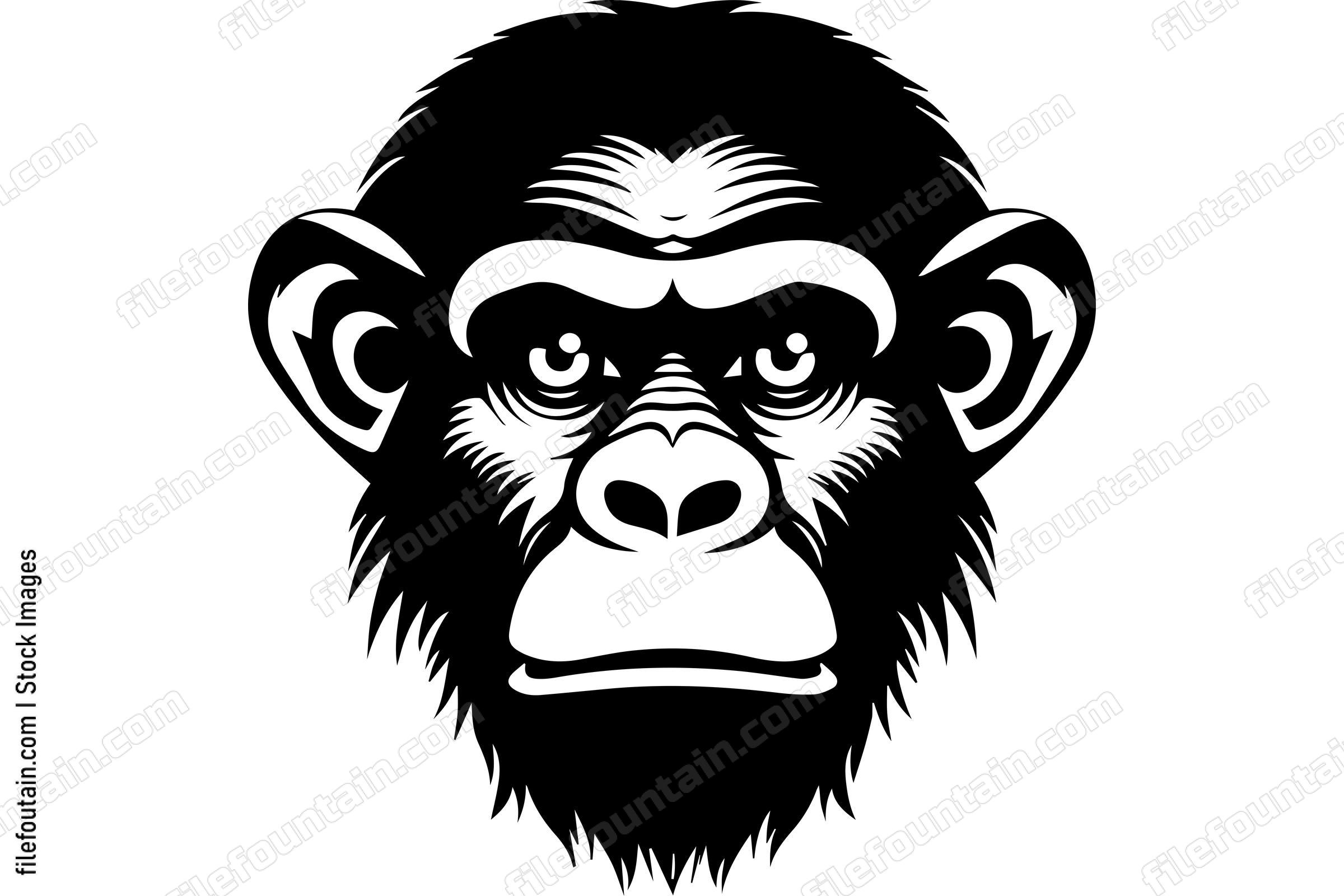 Chimpanzee