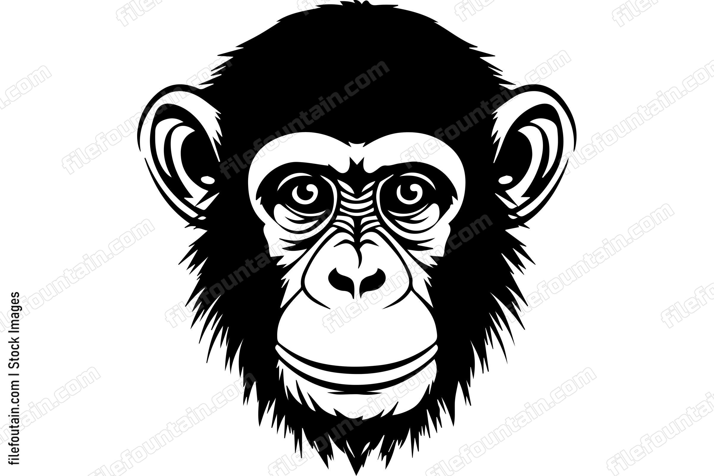 Chimpanzee