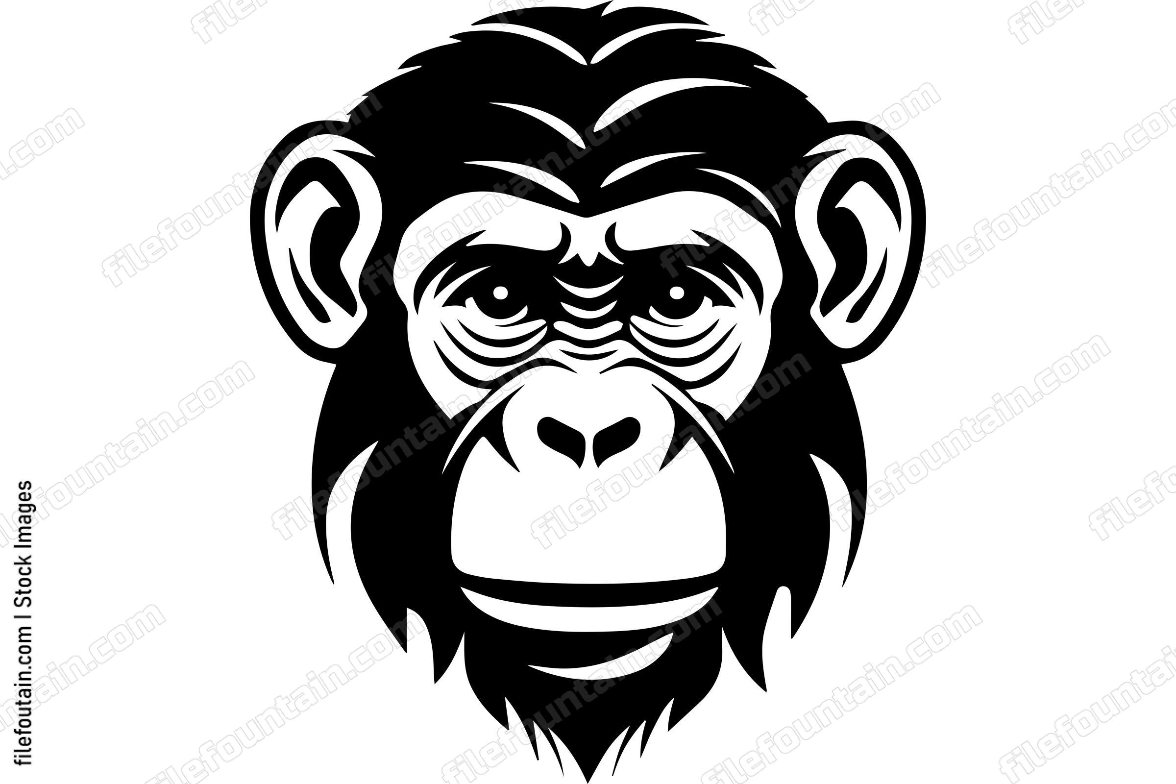 Chimpanzee