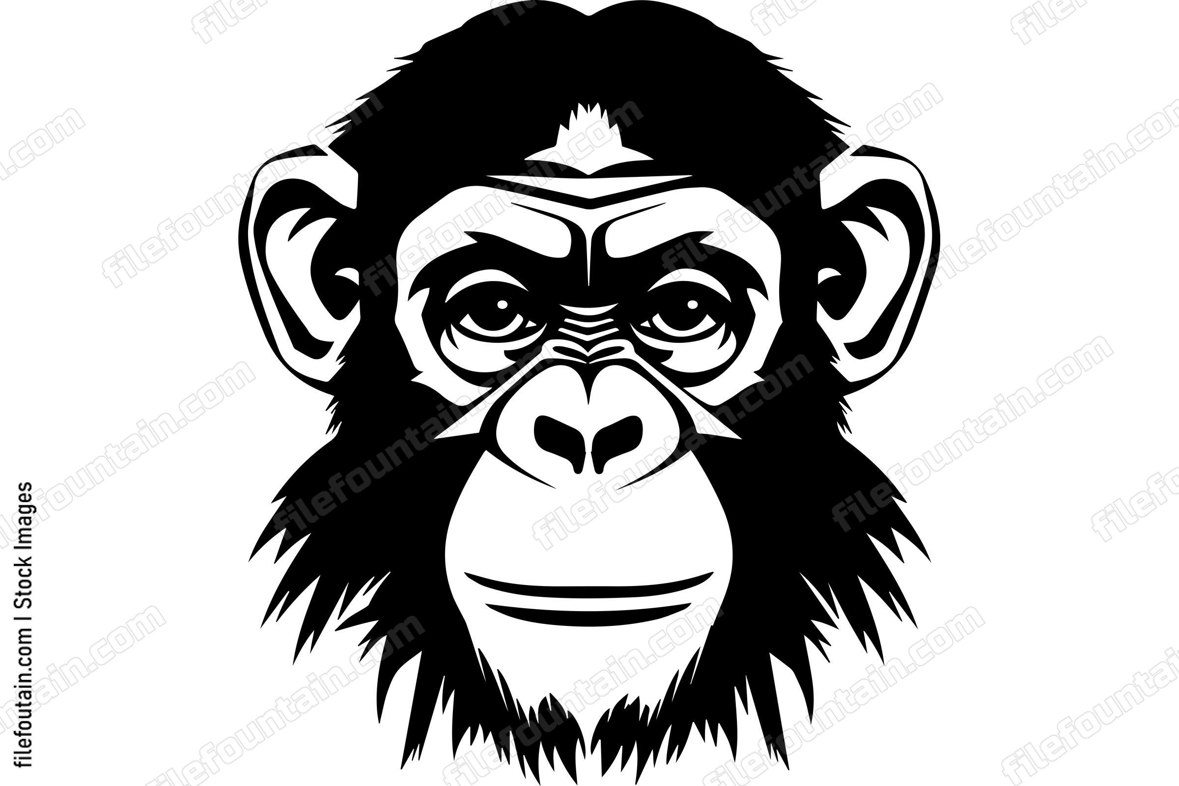 Chimpanzee