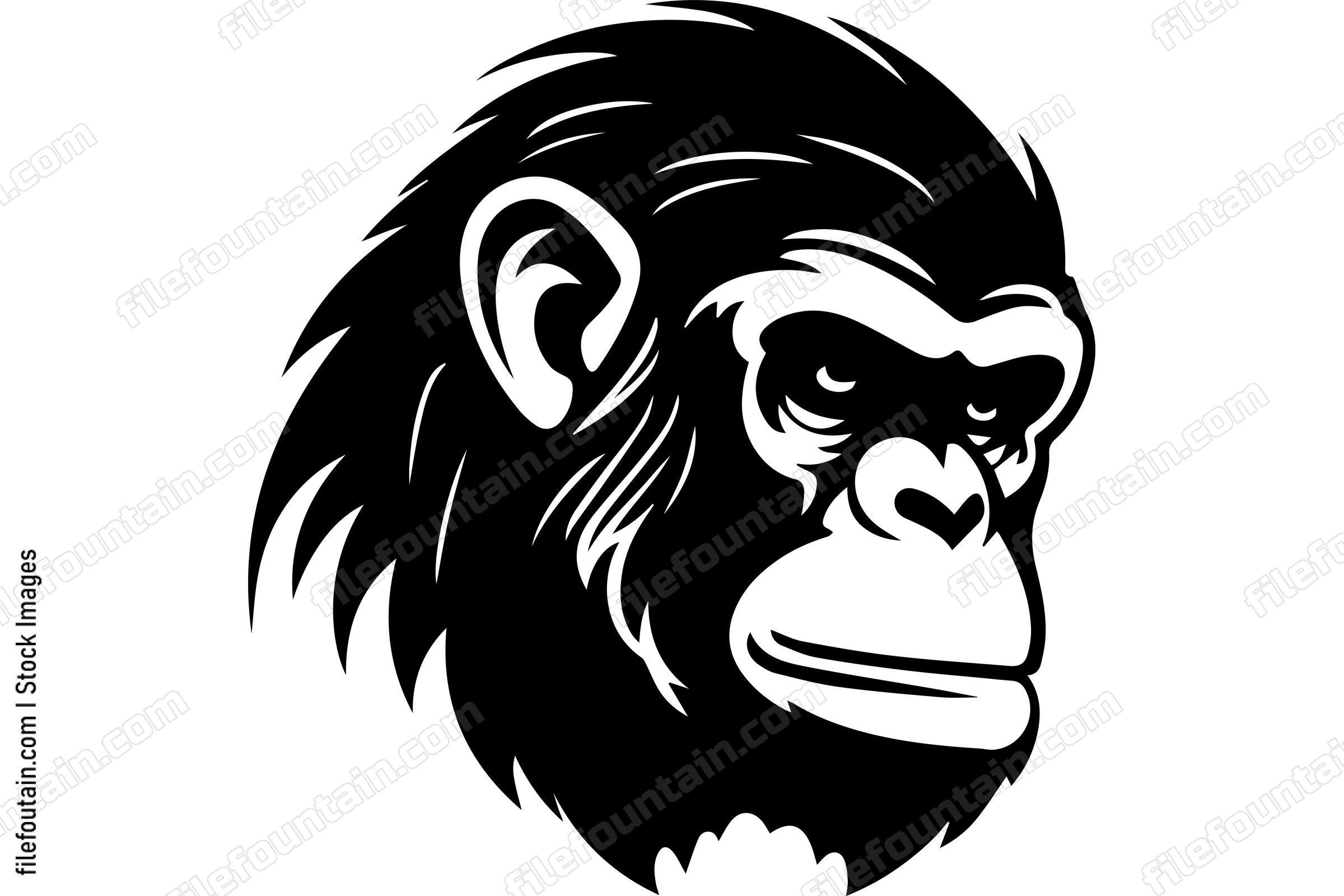 Chimpanzee
