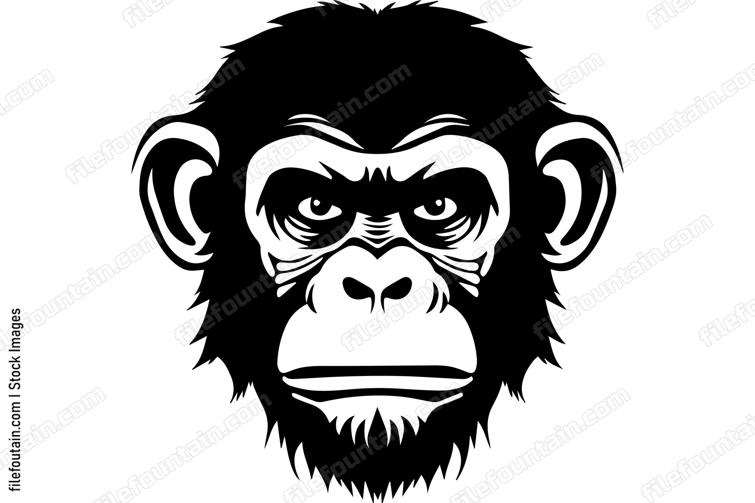 Chimpanzee