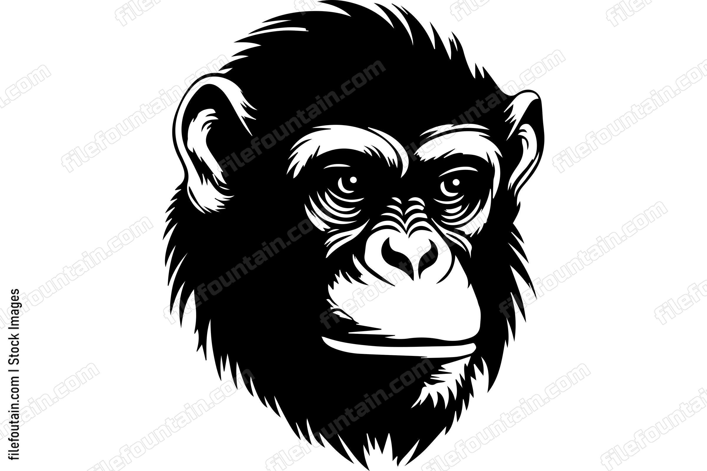 Chimpanzee