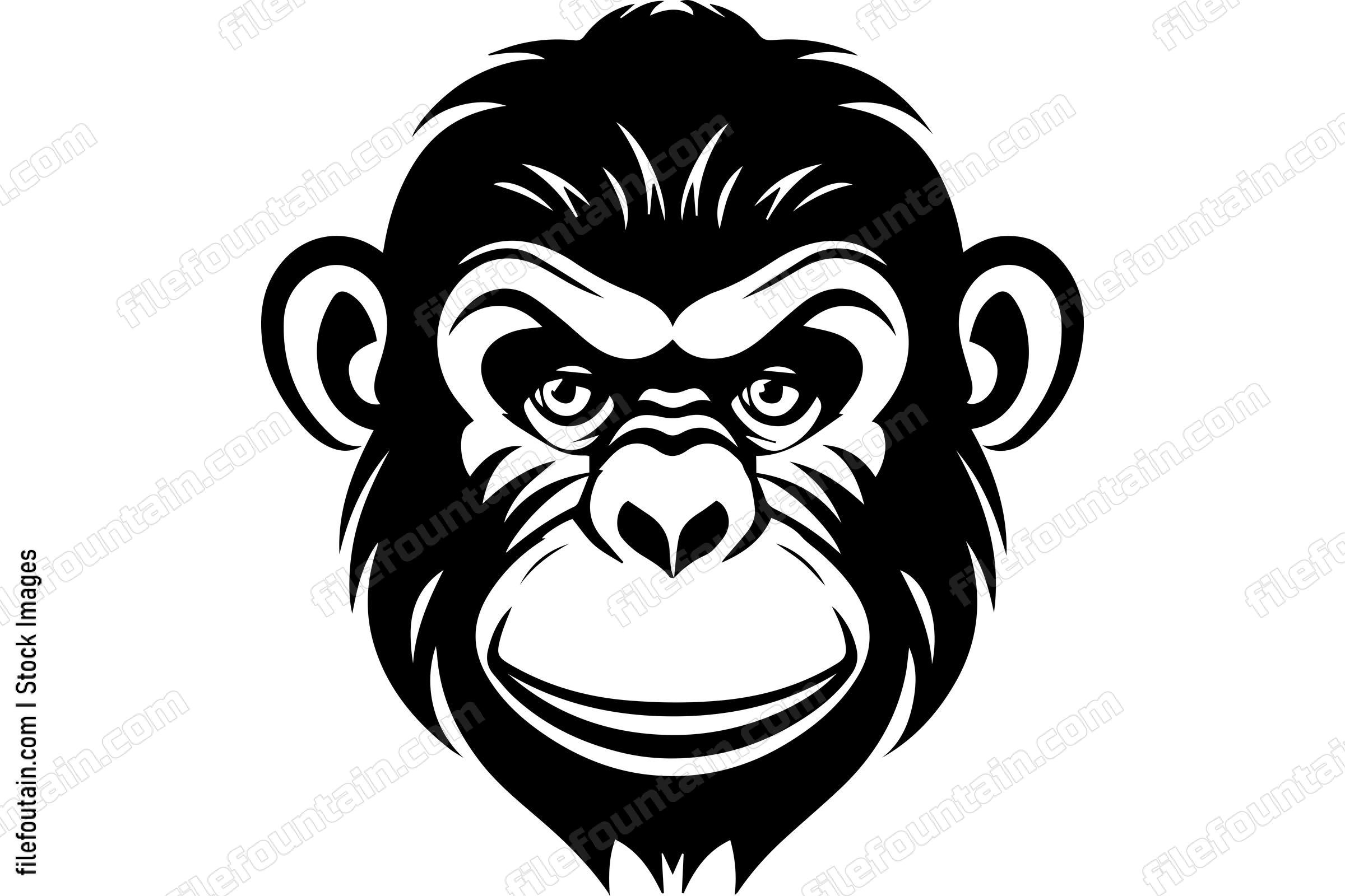 Chimpanzee