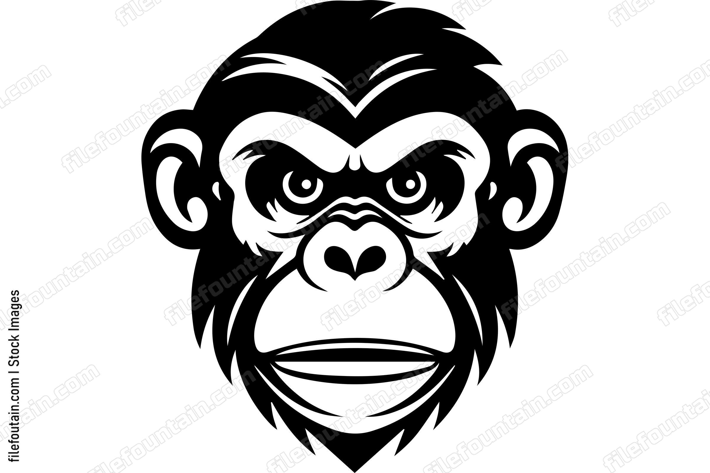 Chimpanzee