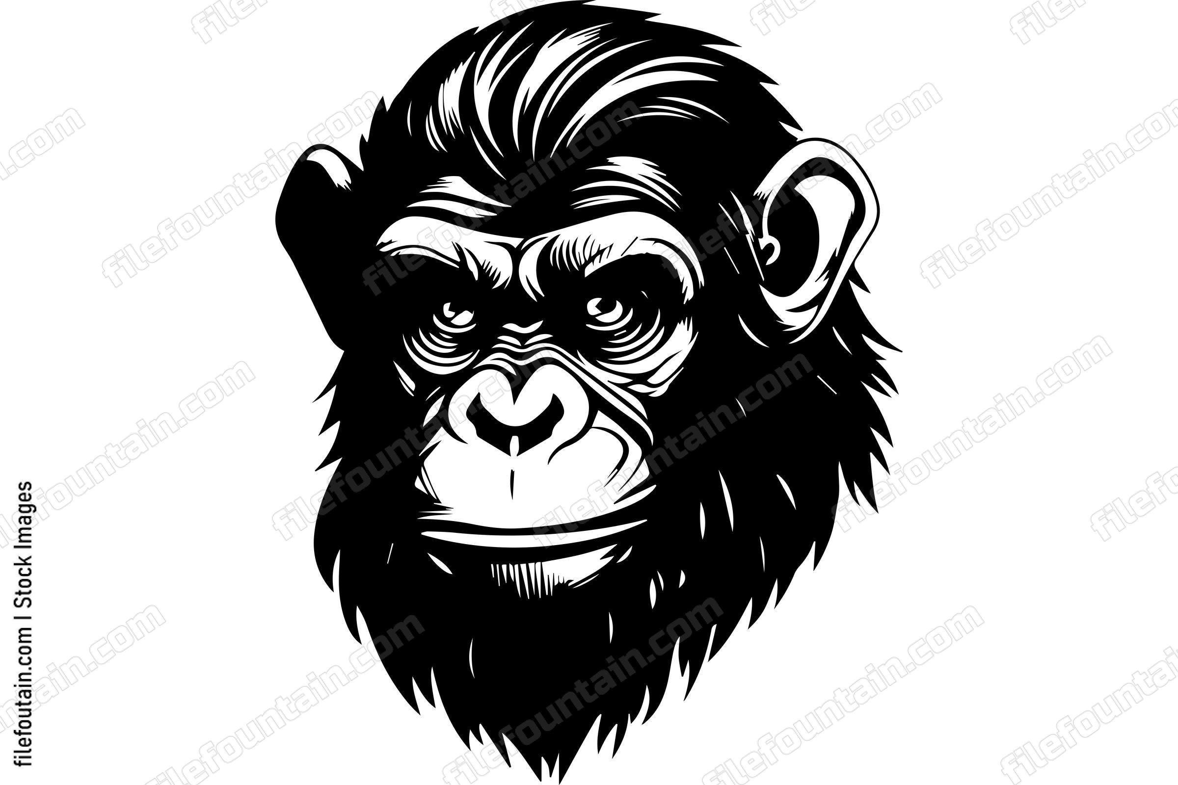Chimpanzee