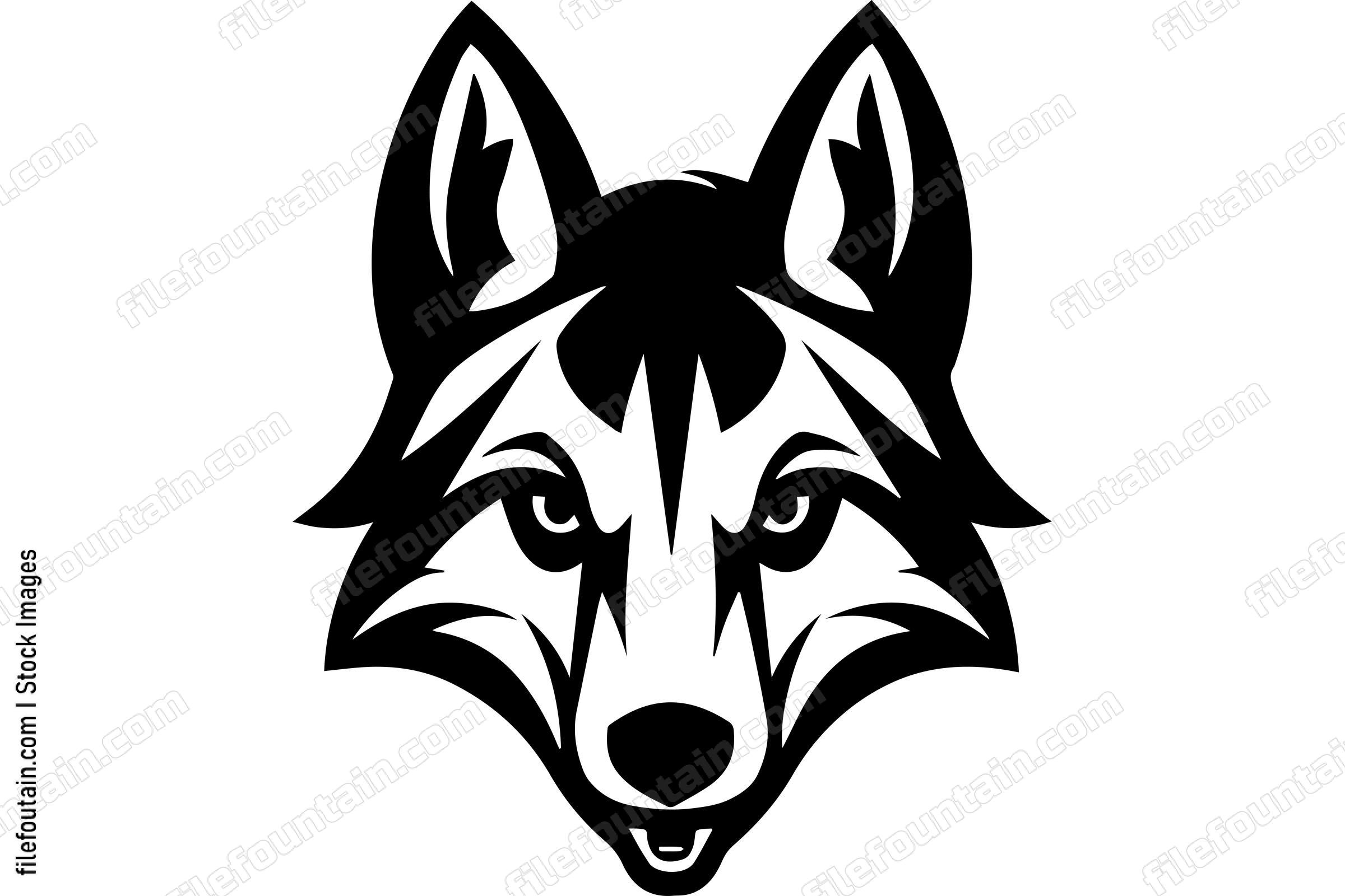 Coyote