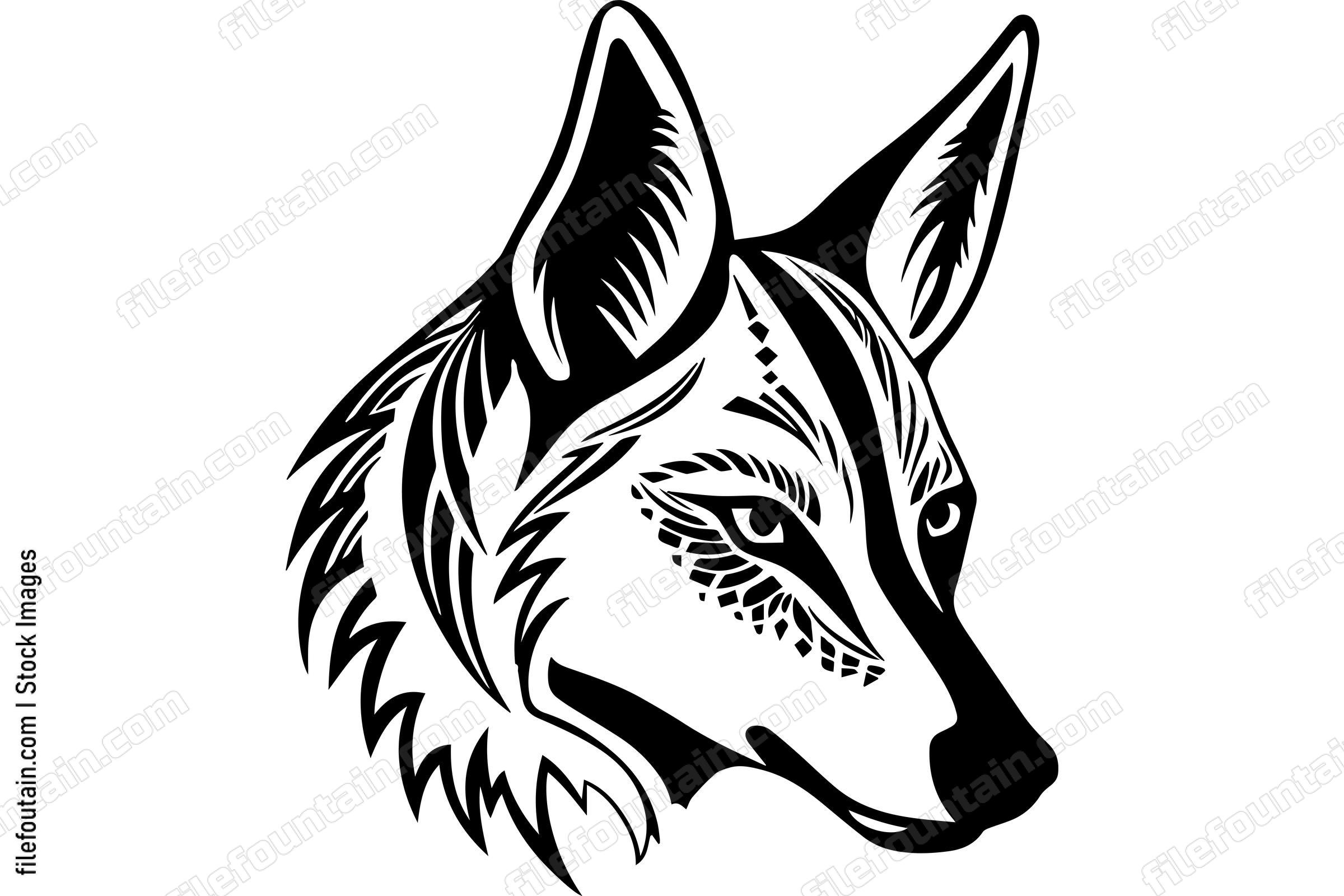 Coyote