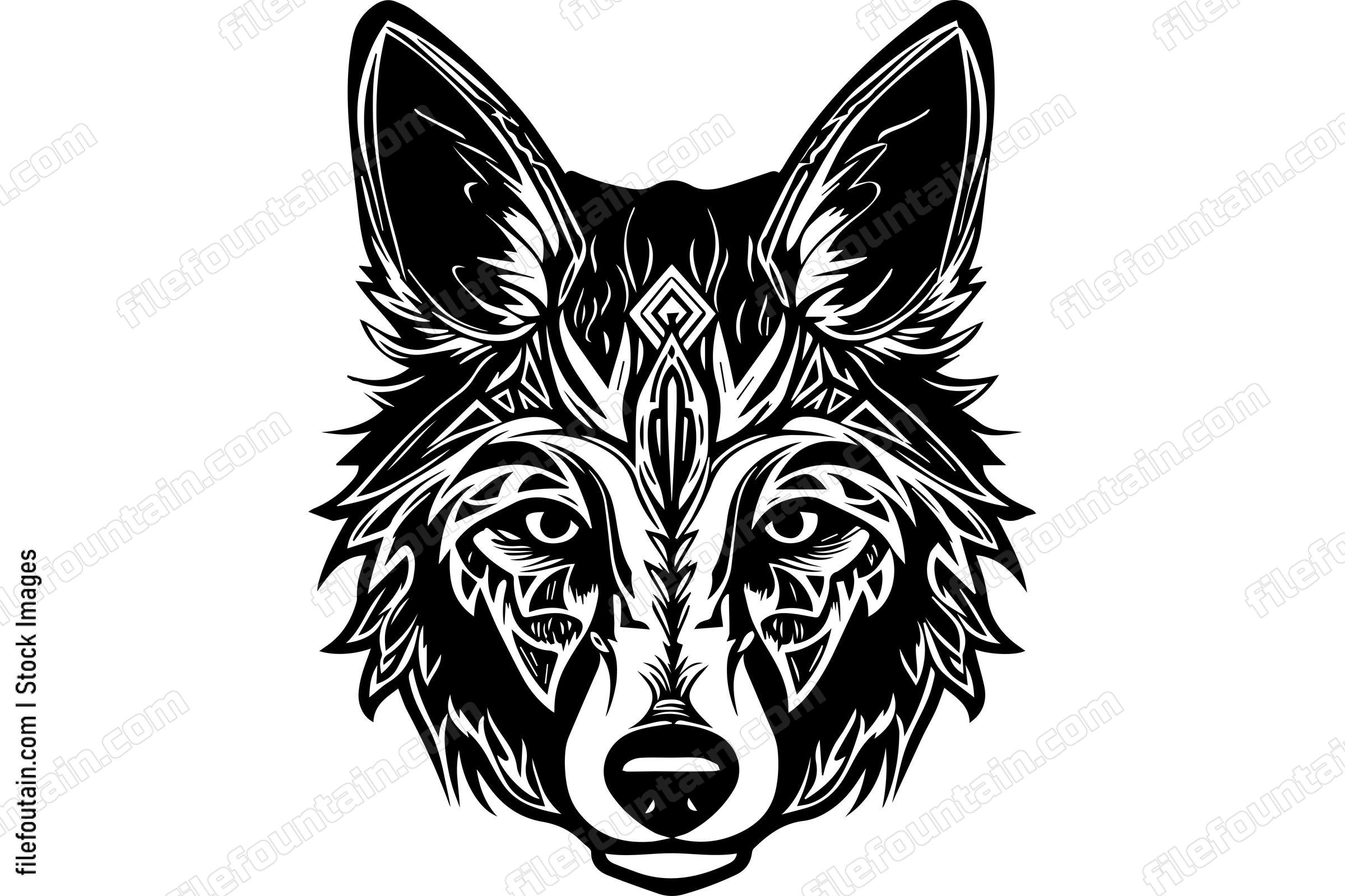 Coyote