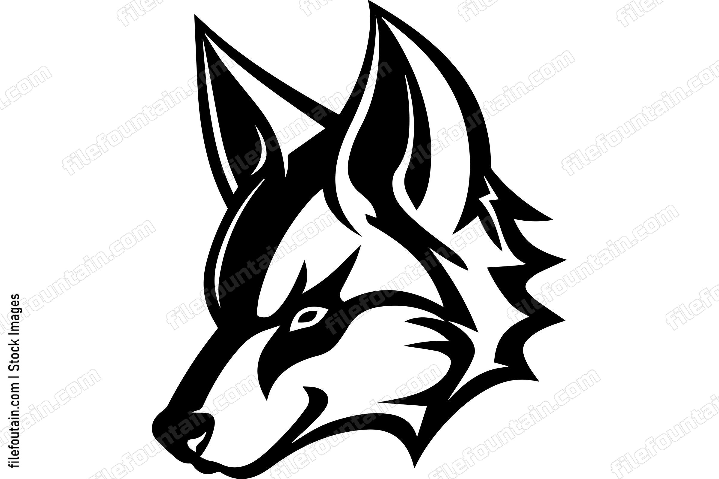 Coyote