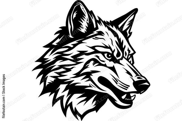 Coyote