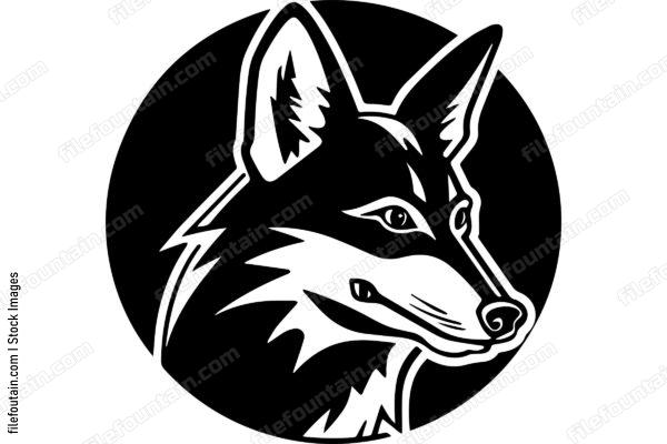 Coyote