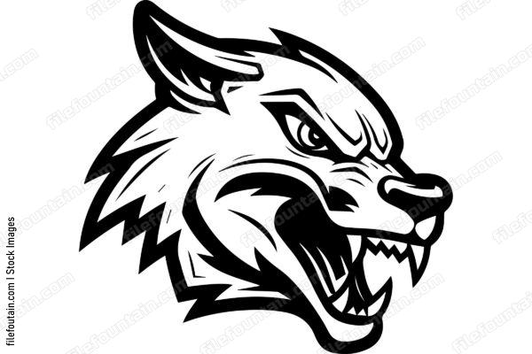 Coyote