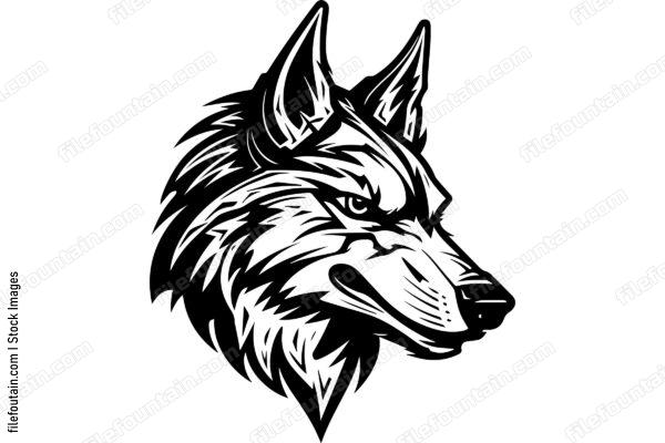 Coyote