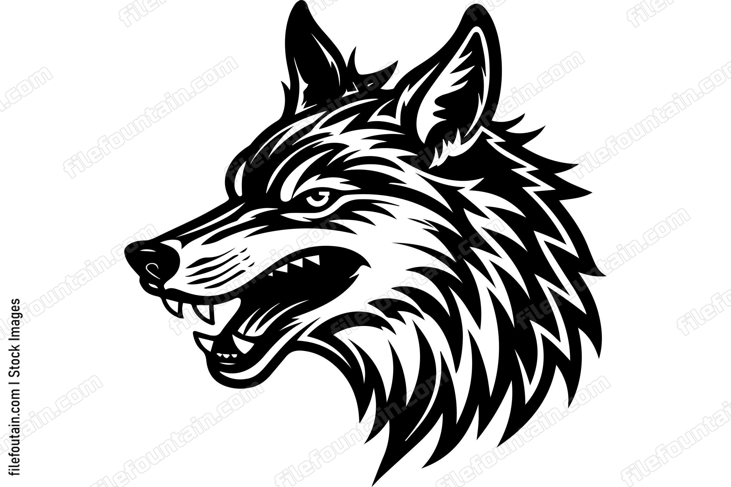 Coyote