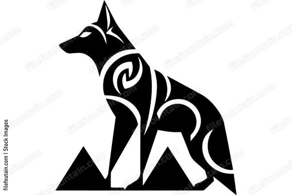 Coyote