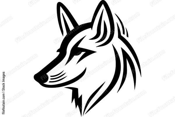 Coyote