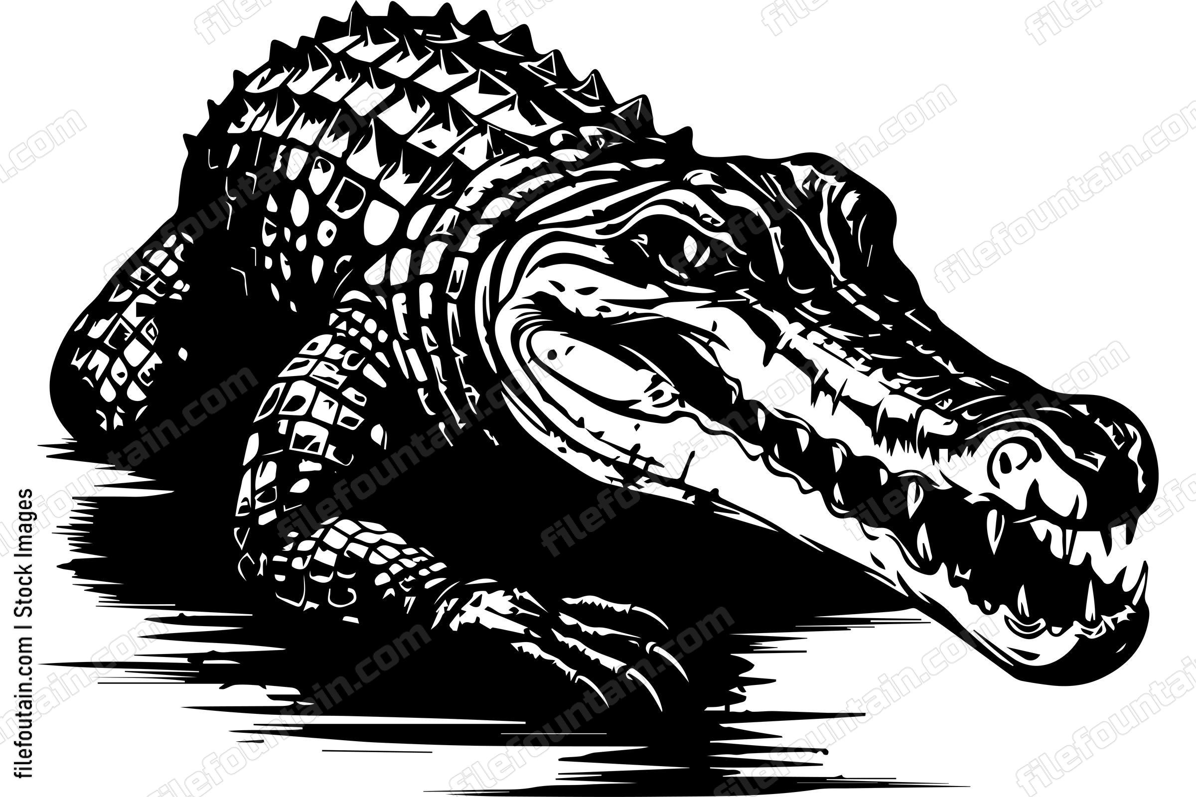 Crocodile