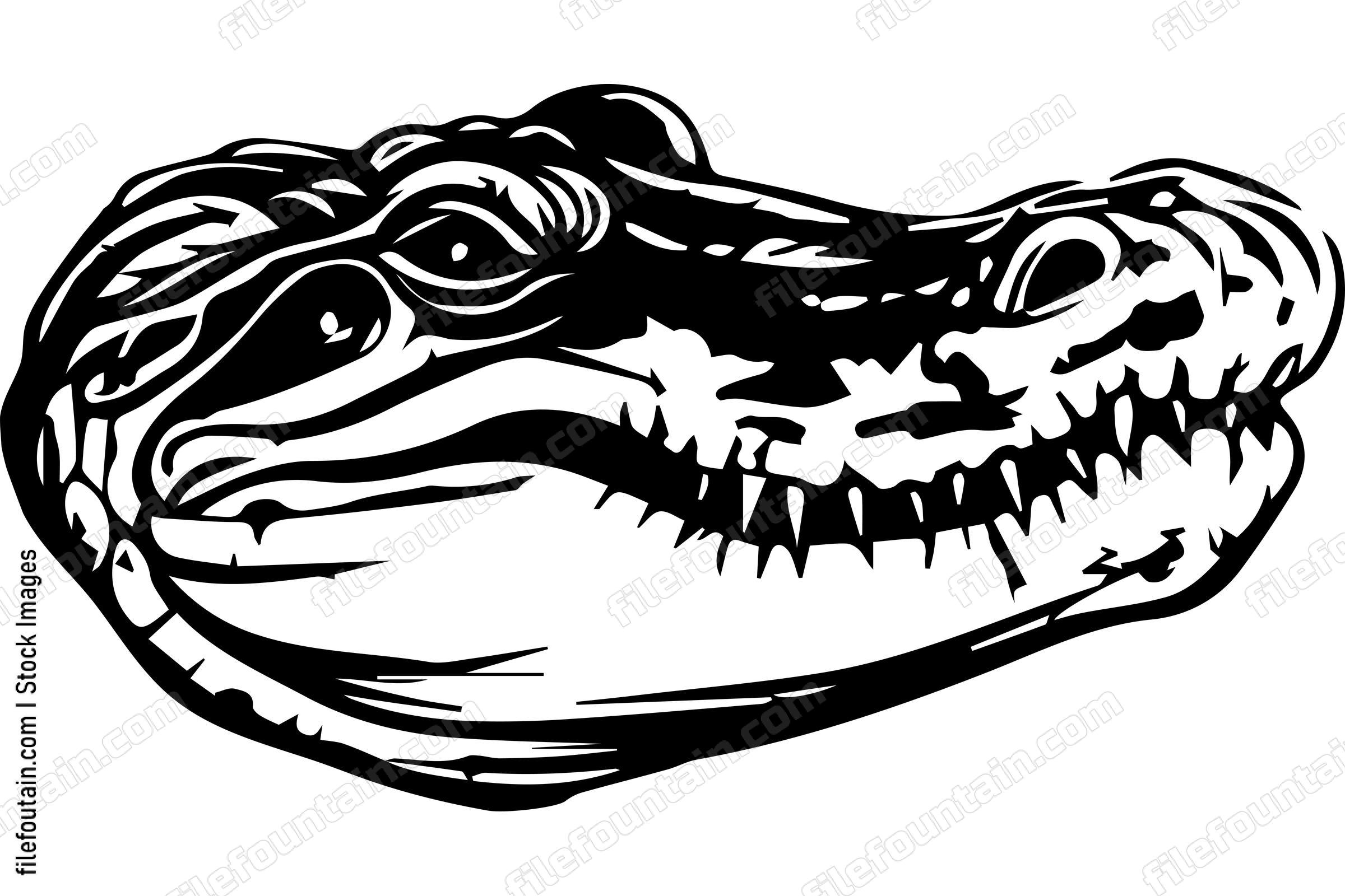 Crocodile