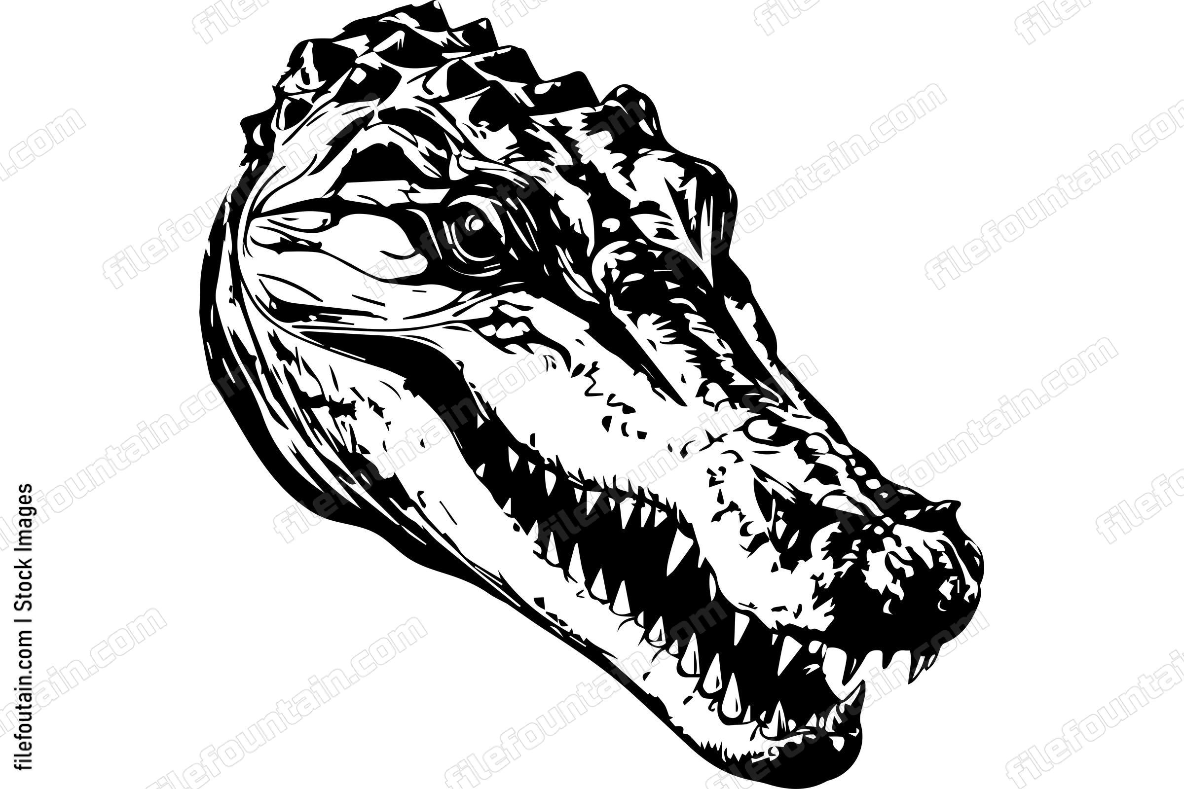 Crocodile