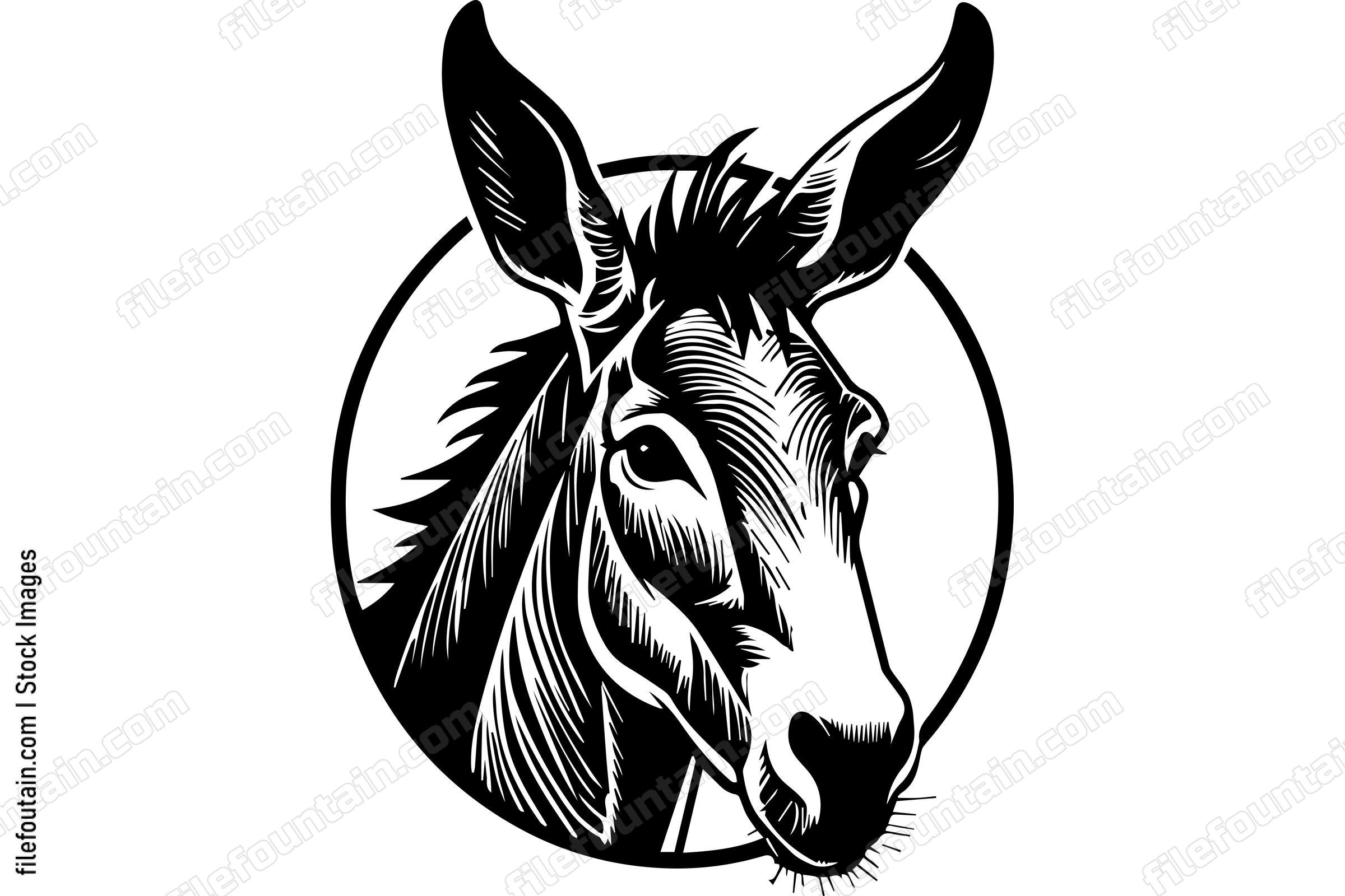 Donkey