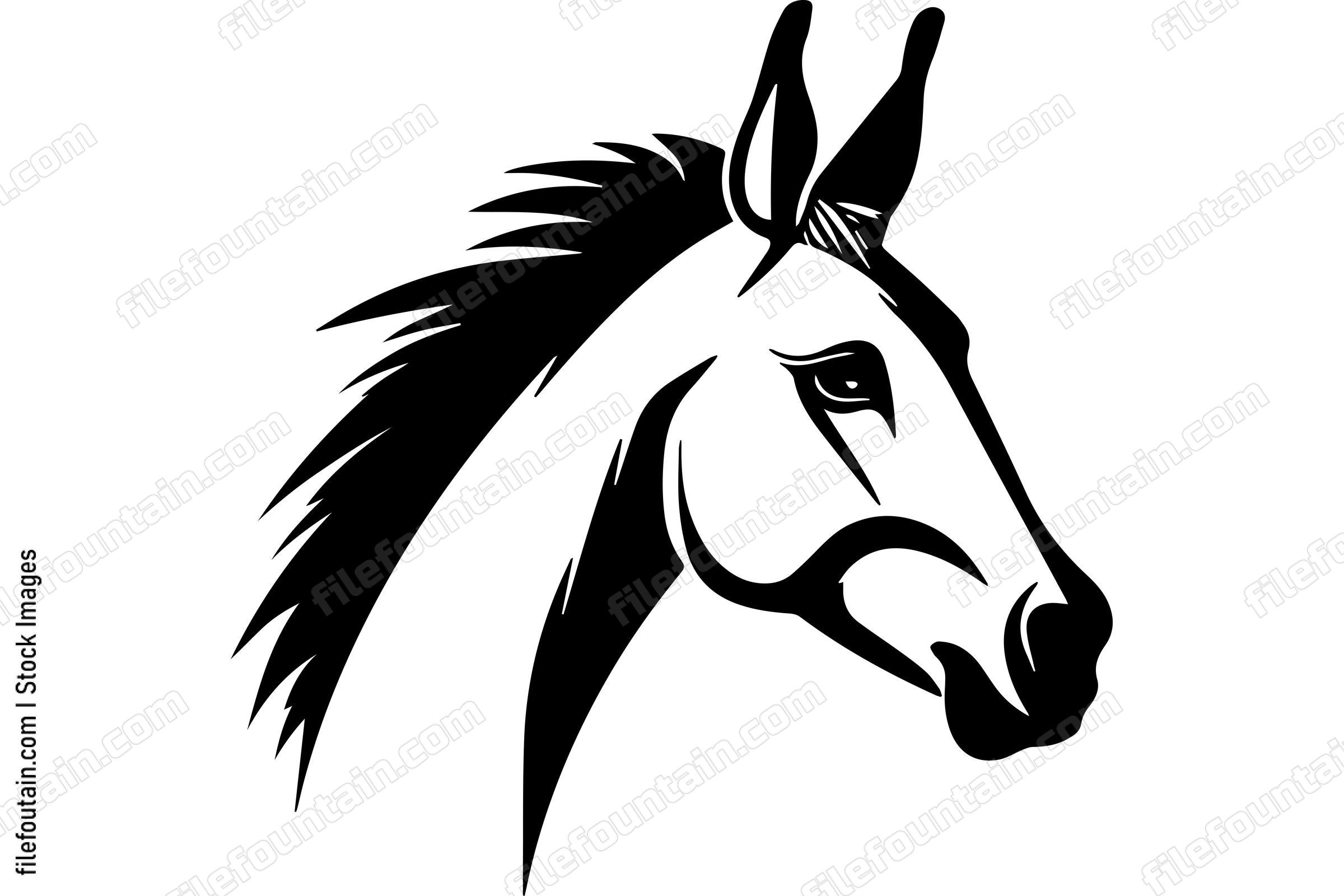 Donkey