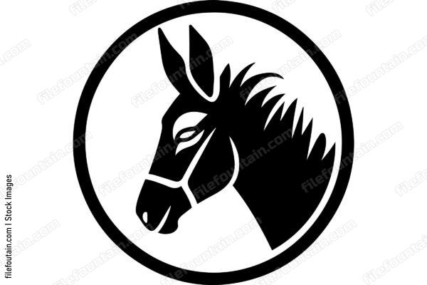 Donkey