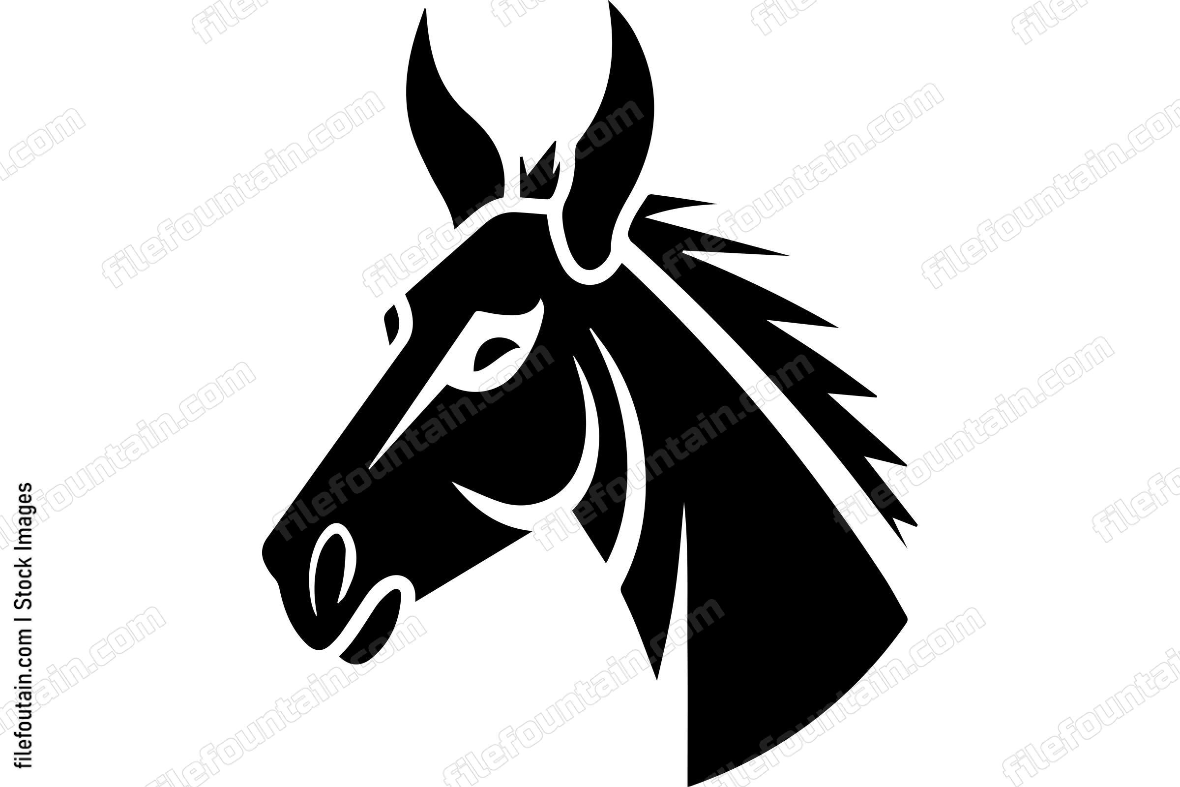 Donkey