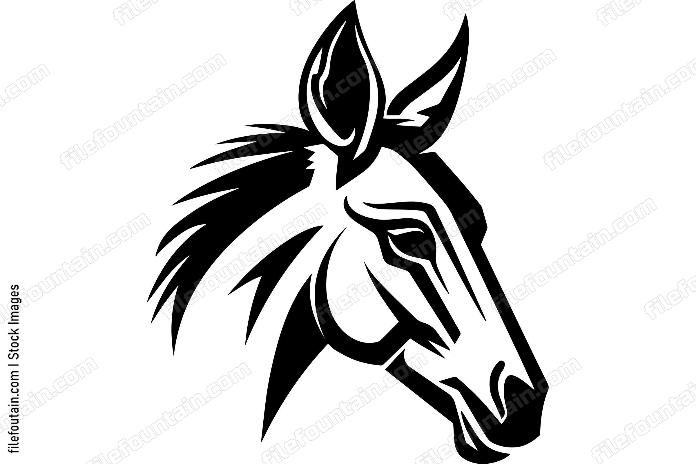 Donkey