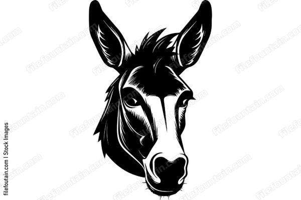Donkey