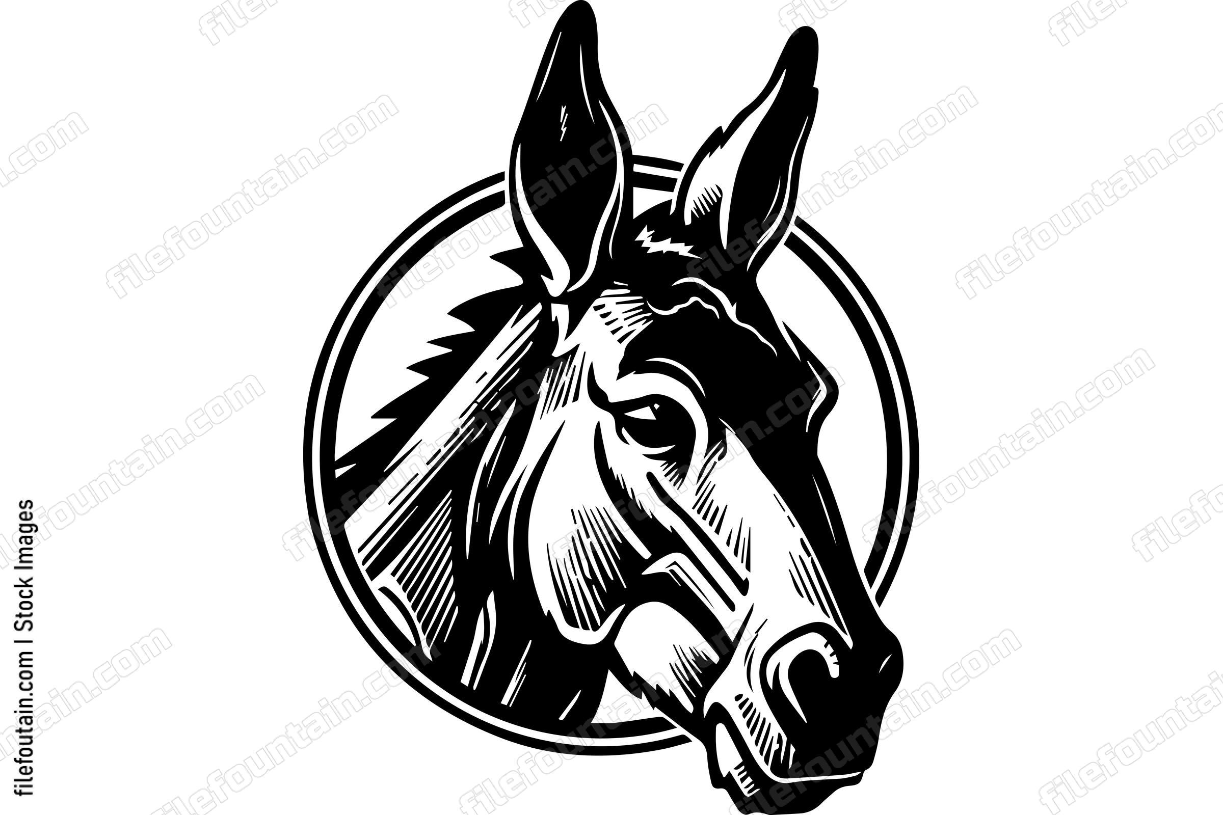 Donkey