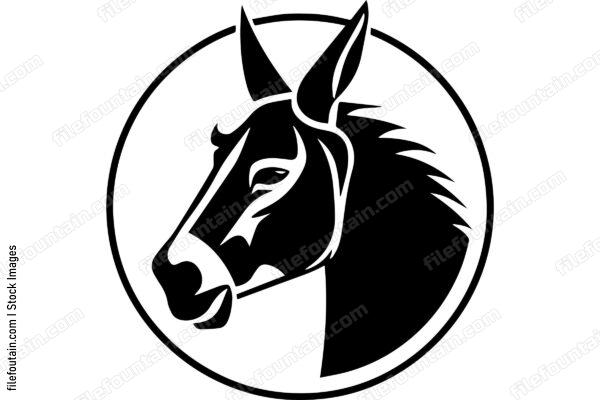 Donkey
